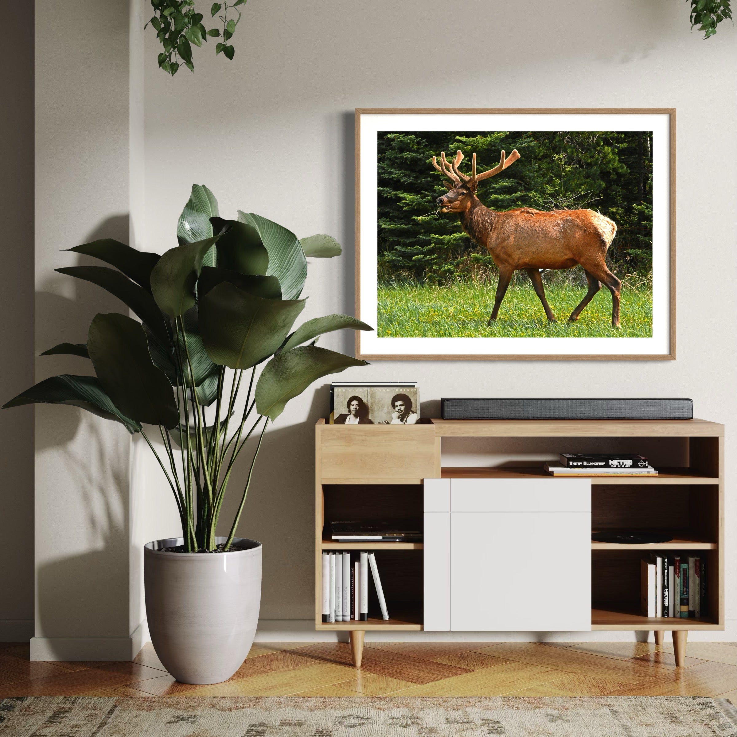 Velvet Majesty - Moderno Wall Art Wall Art