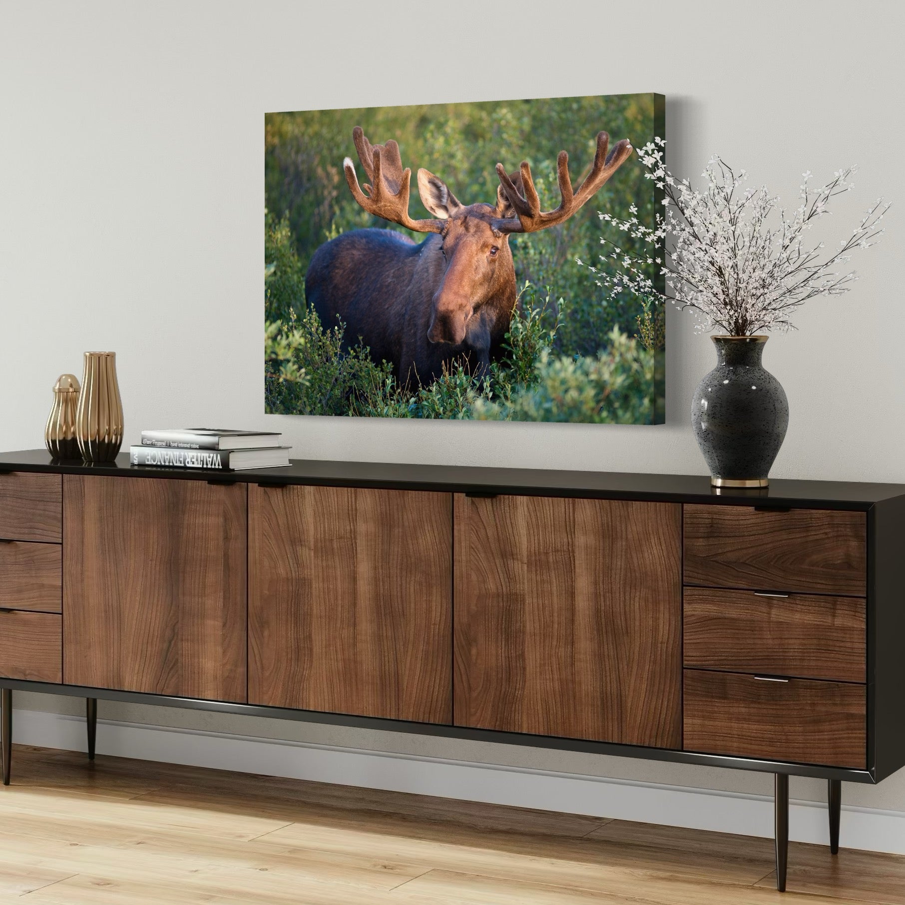 Majestic Bull Moose - Moderno Wall Art Wall Art