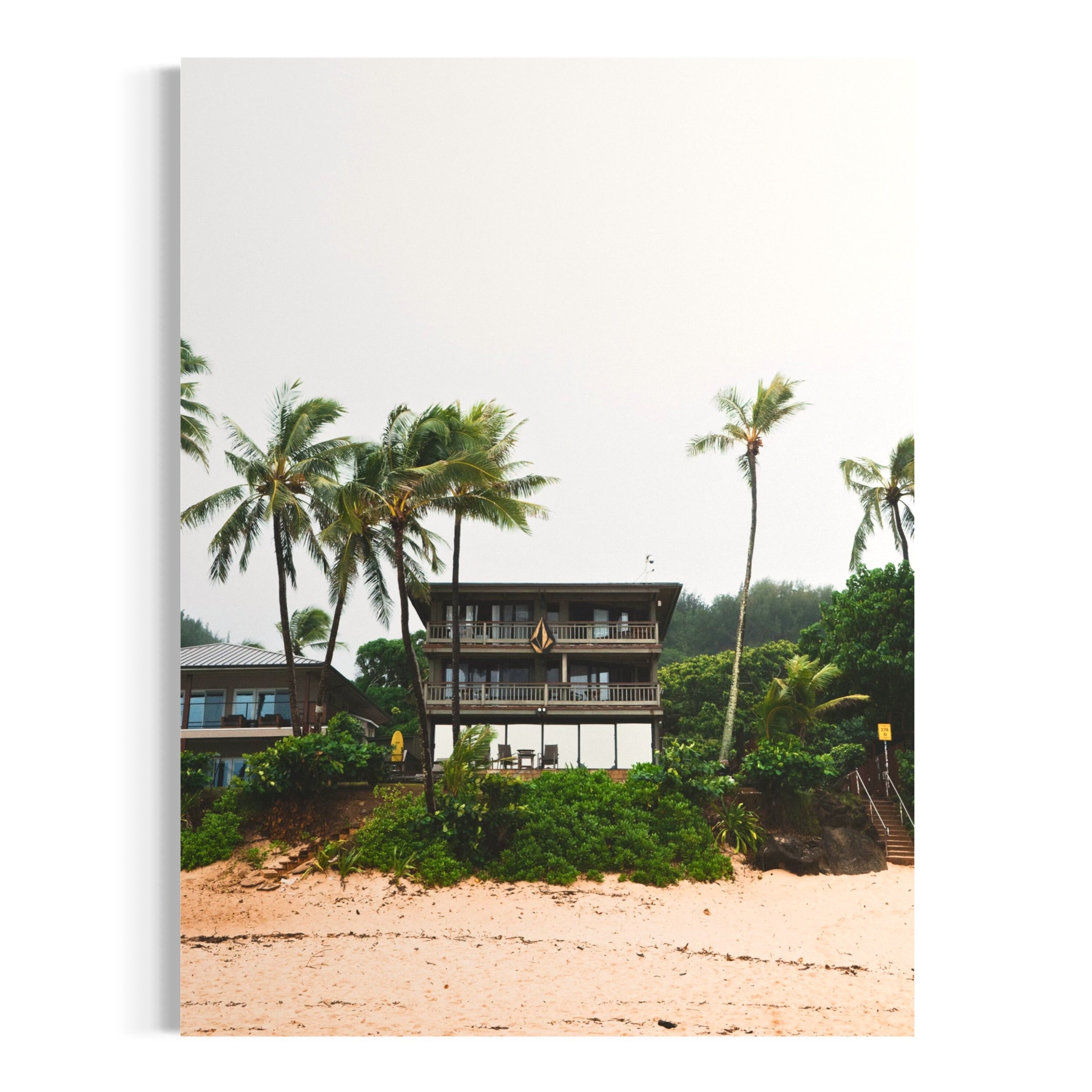 Tropical Haven - Moderno Wall Art Wall Art