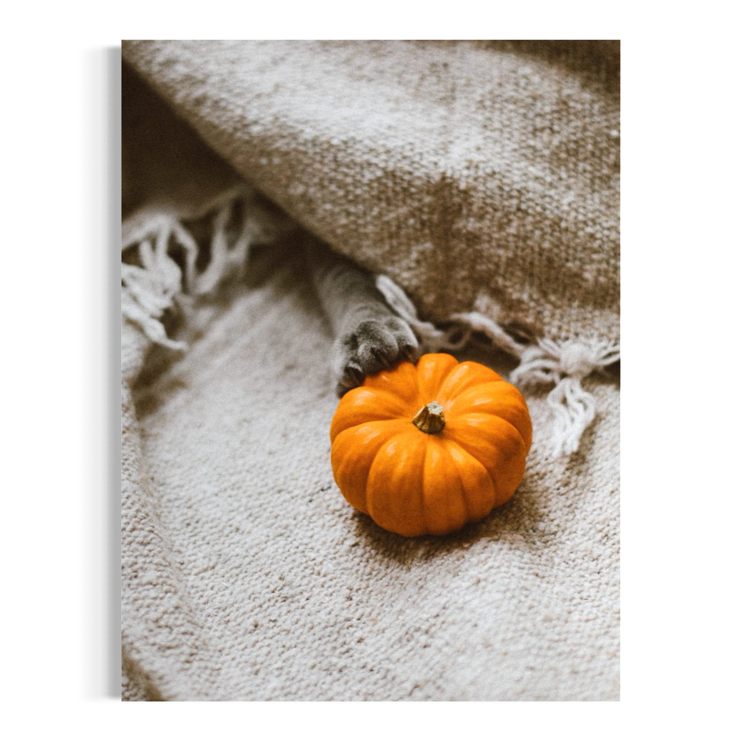 Pumpkin Paws - Moderno Wall Art Wall Art