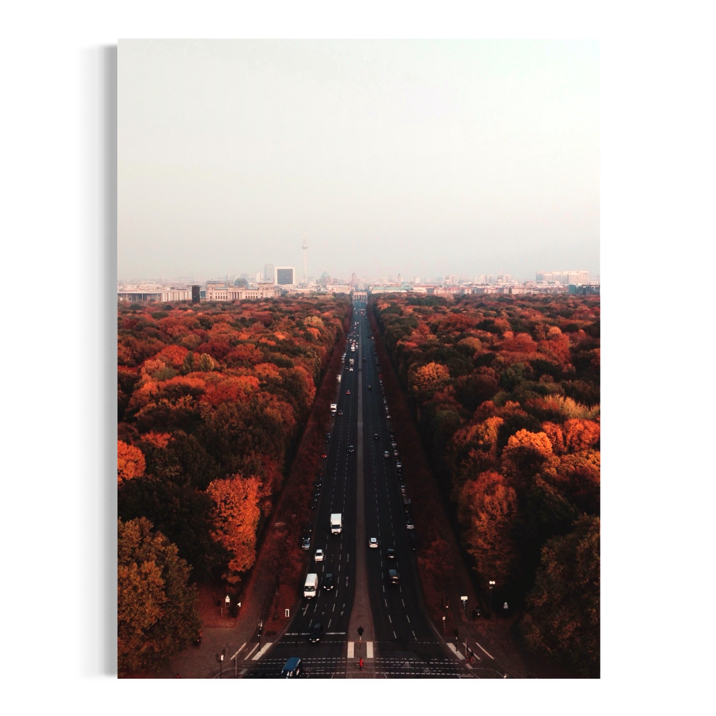 Autumn Passage - Moderno Wall Art Wall Art