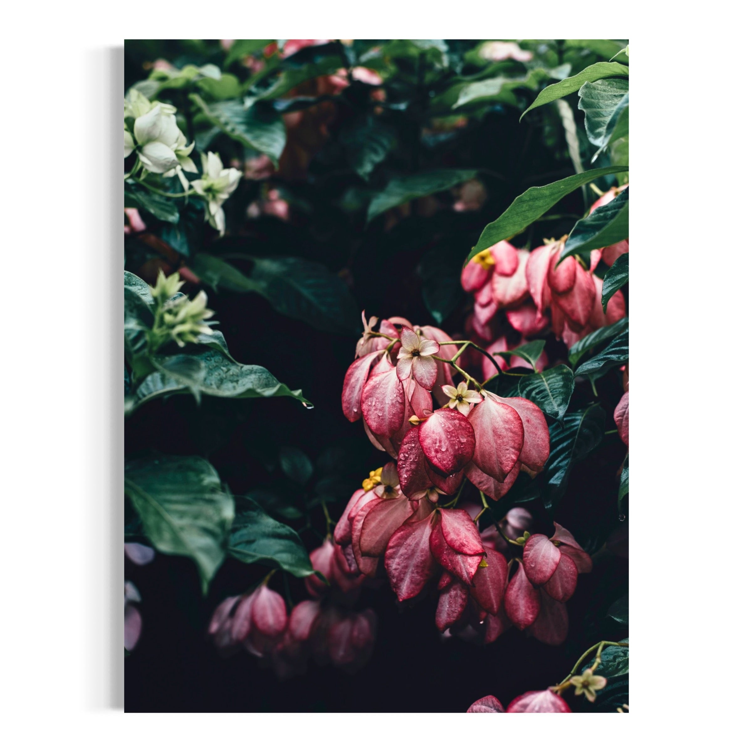 Flourish - Moderno Wall Art Wall Art