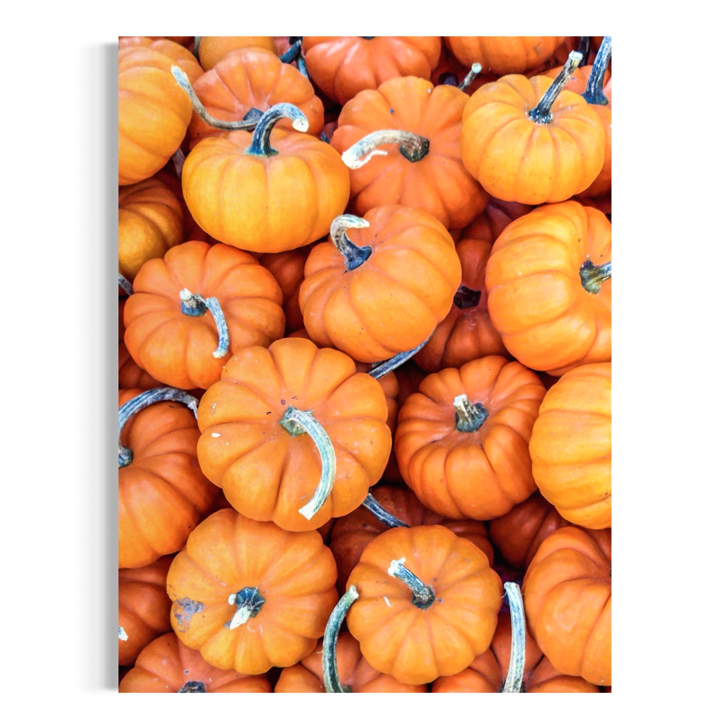 Pile of Pumpkins - Moderno Wall Art Wall Art