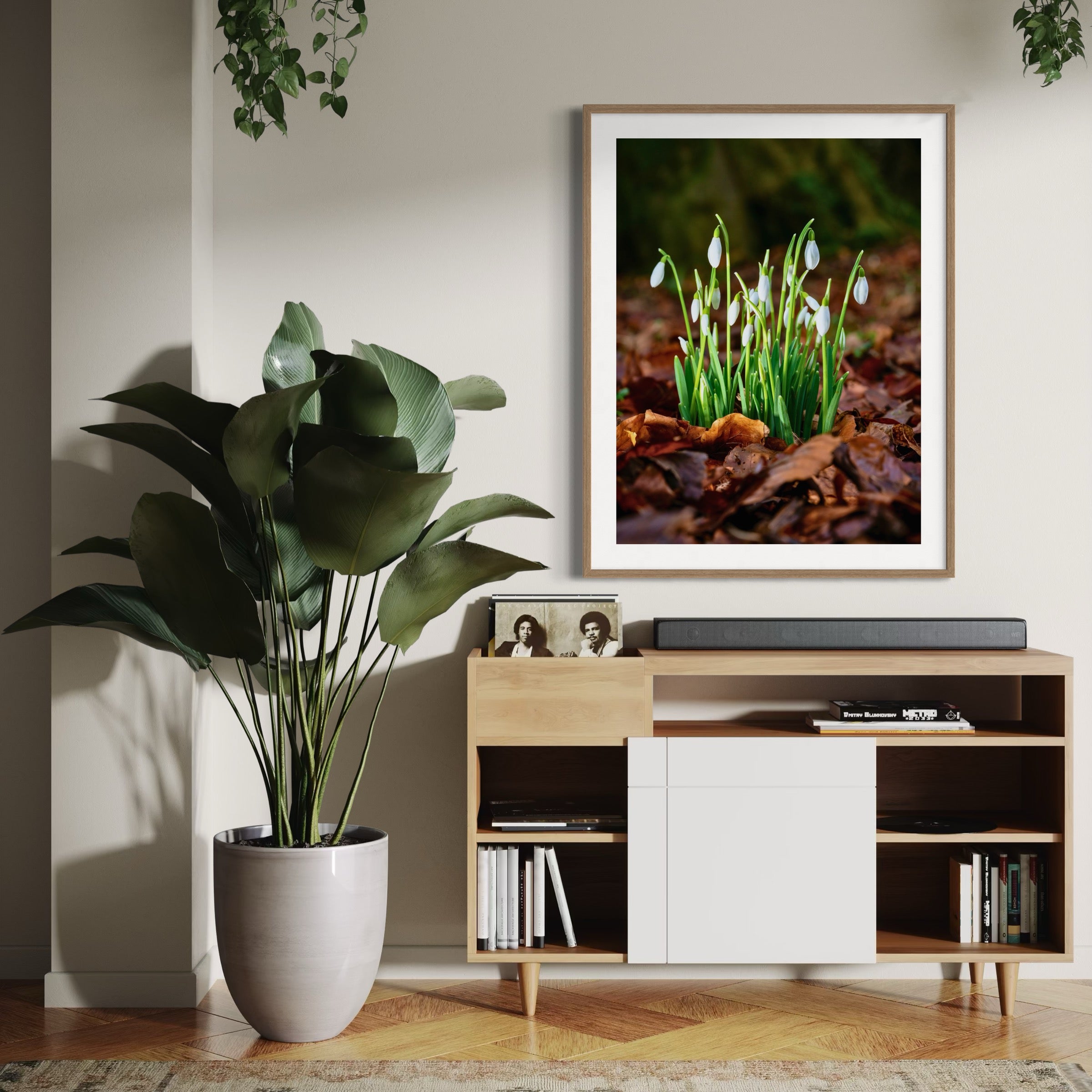 Early Bloom - Moderno Wall Art Wall Art