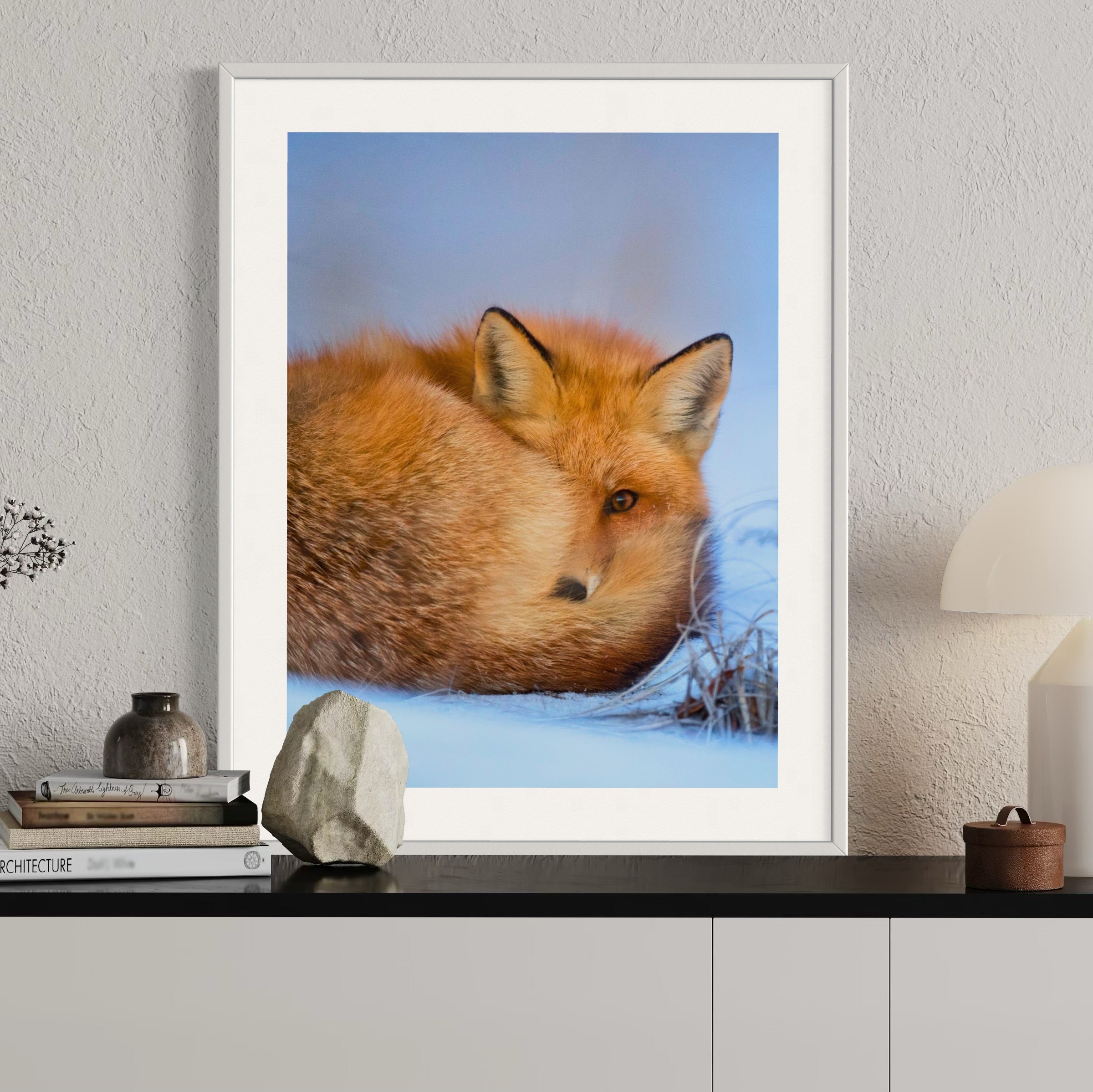 Curled in the Cold - Moderno Wall Art Wall Art