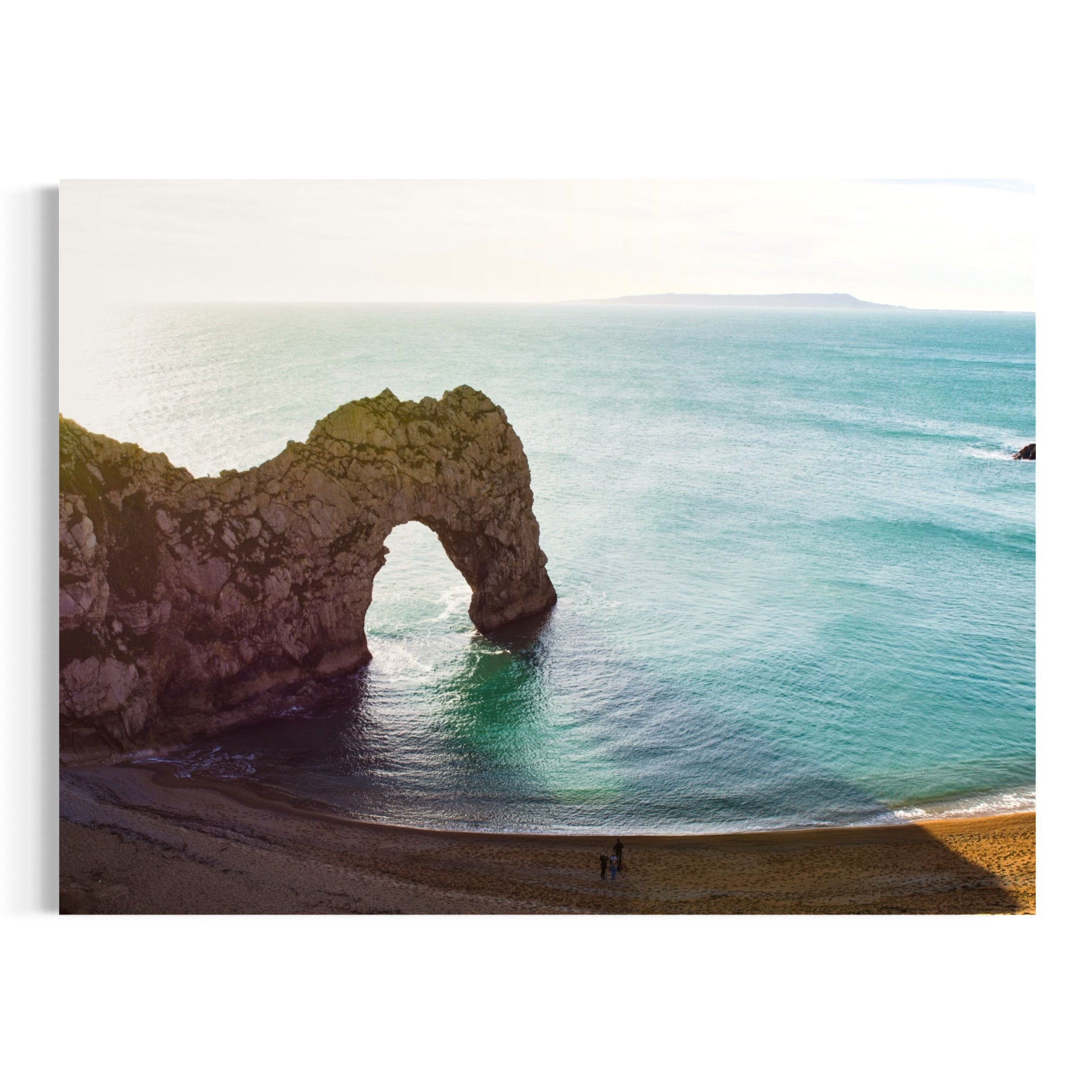 Nature’s Sculpture - Moderno Wall Art Wall Art