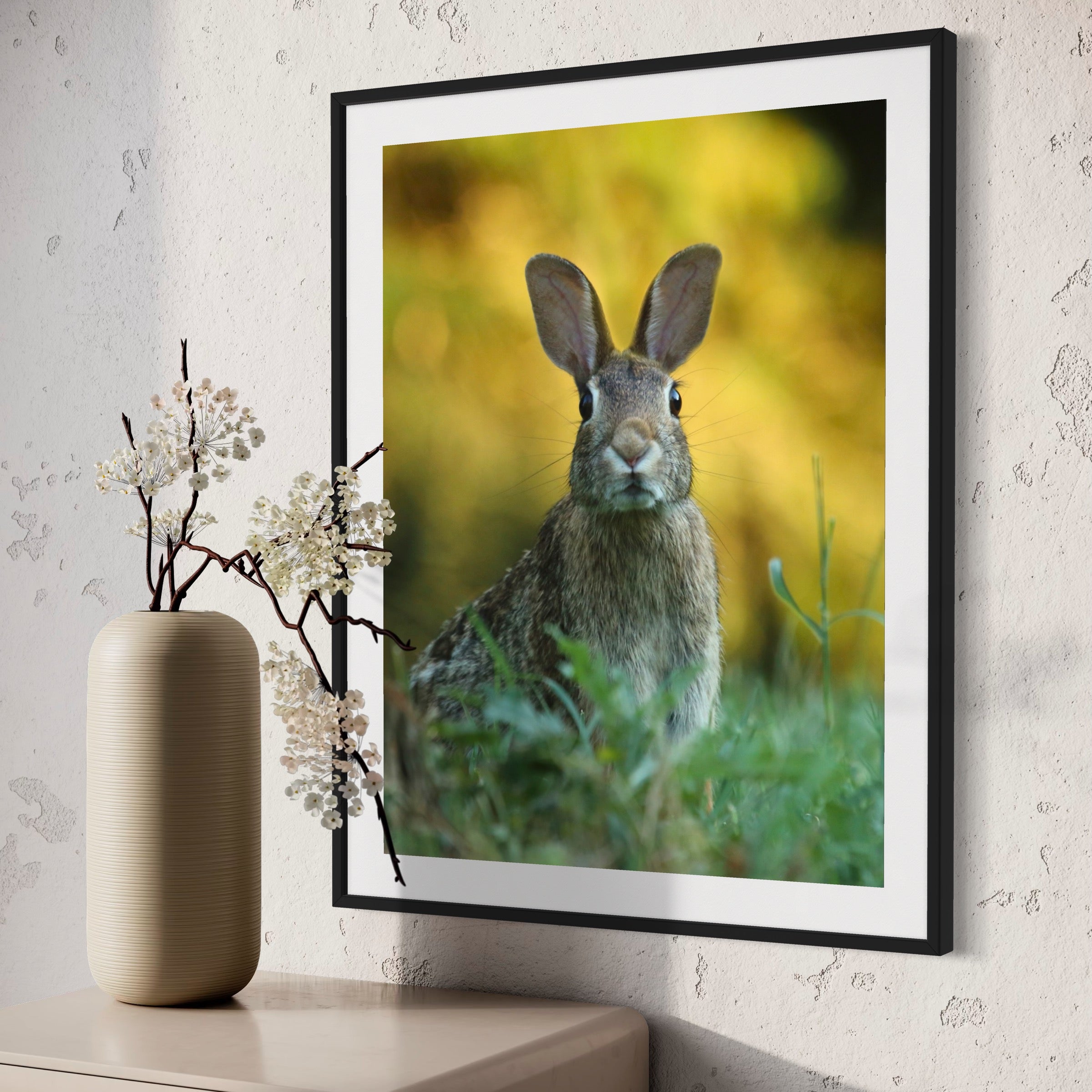 Curious Rabbit - Moderno Wall Art
