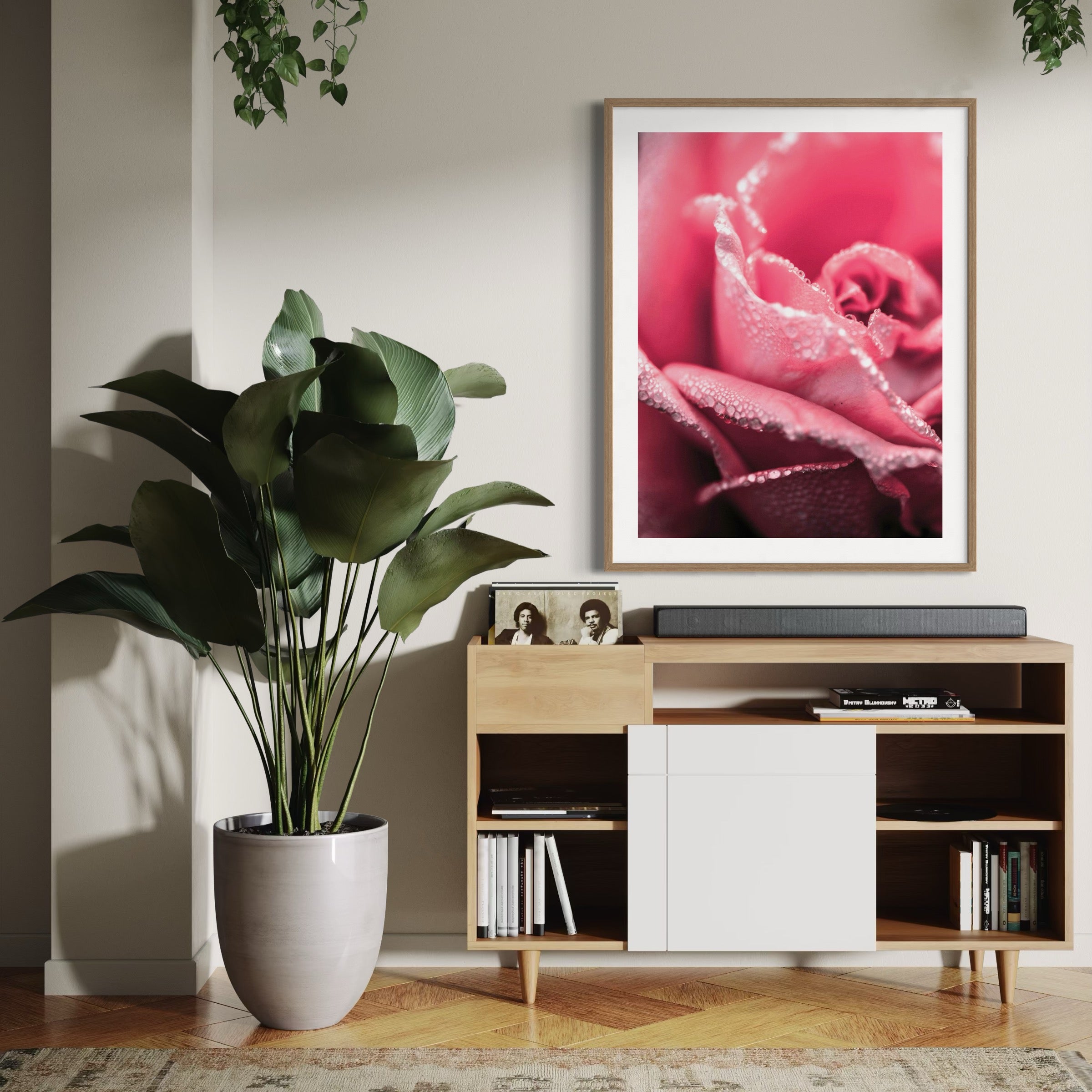Dew-Kissed Rose - Moderno Wall Art Wall Art