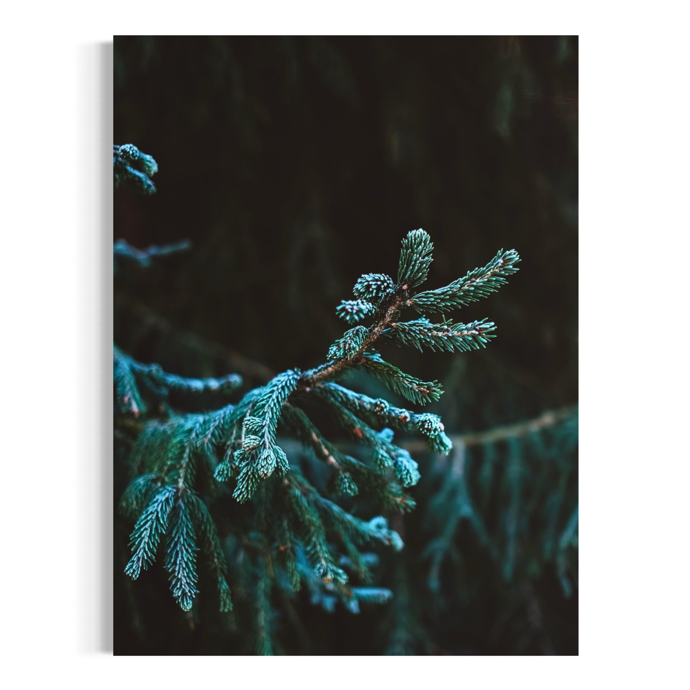 Pine & Needles - Moderno Wall Art Wall Art