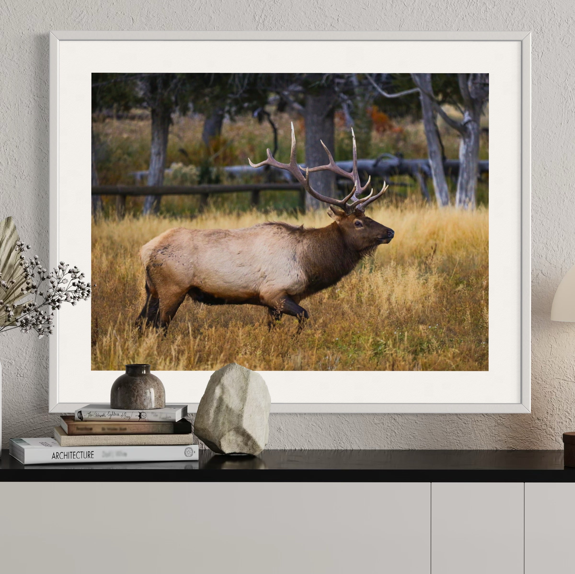 Elk on the Move - Moderno Wall Art Wall Art