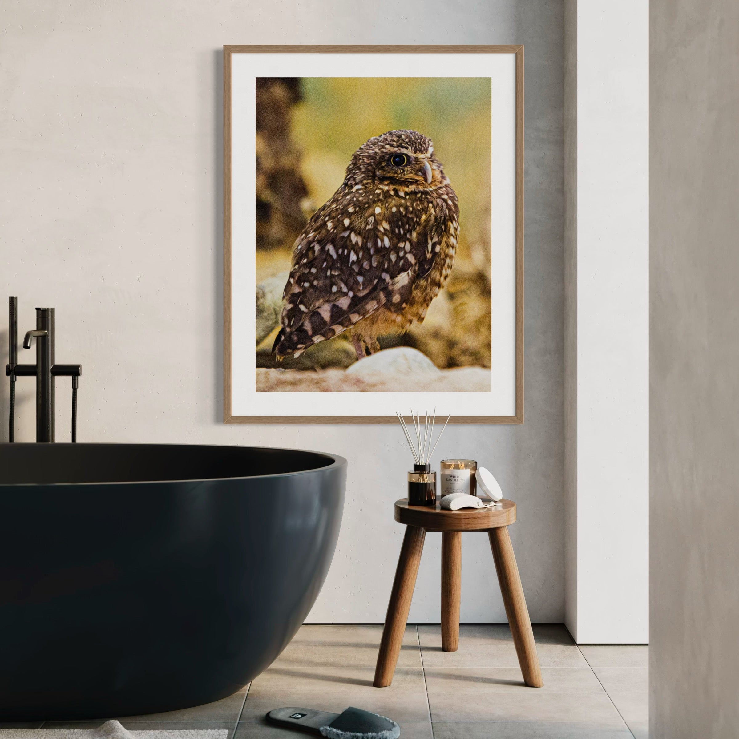 Perched in Thought - Moderno Wall Art Wall Art
