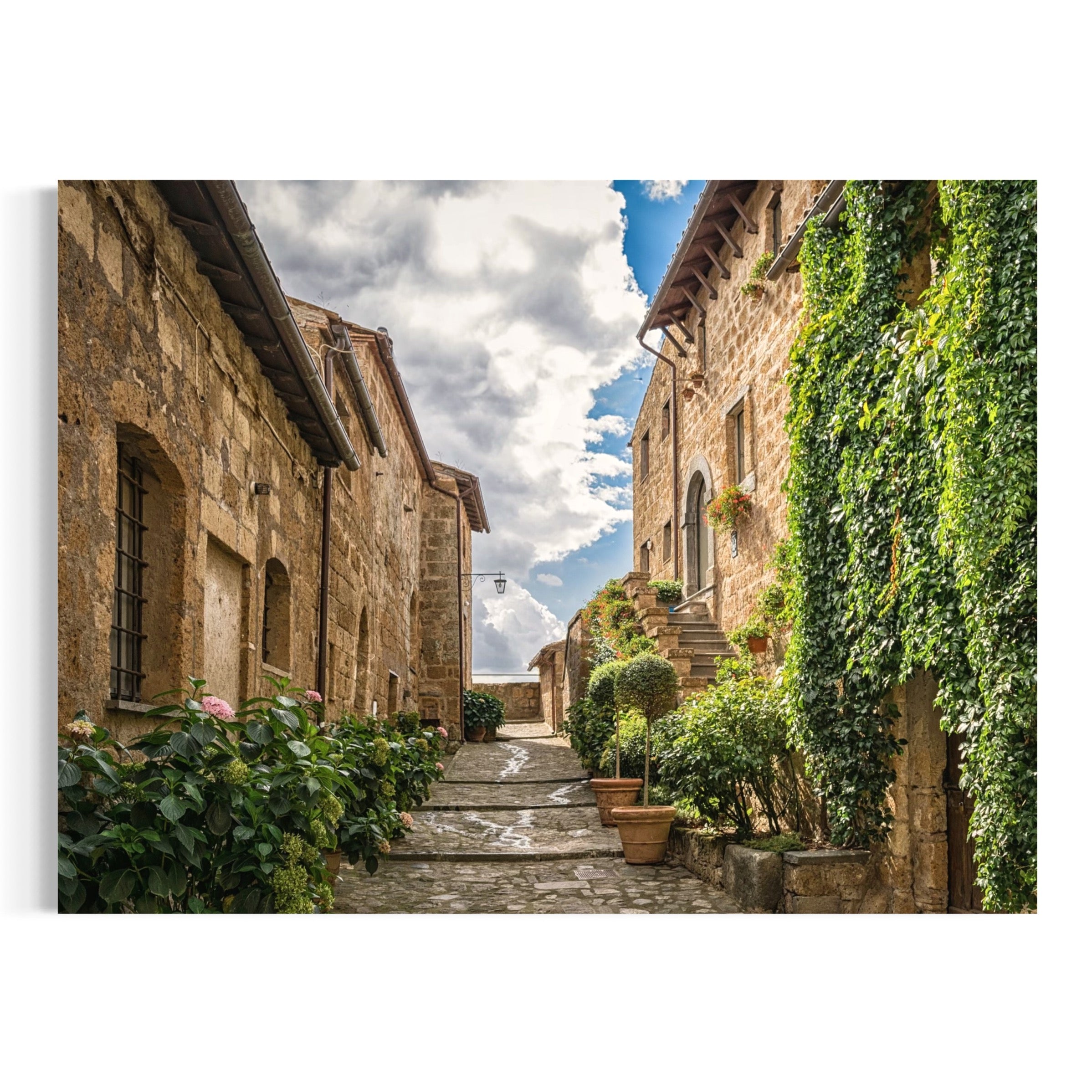 Village Path with Potted Plants - Moderno Wall Art Wall Art