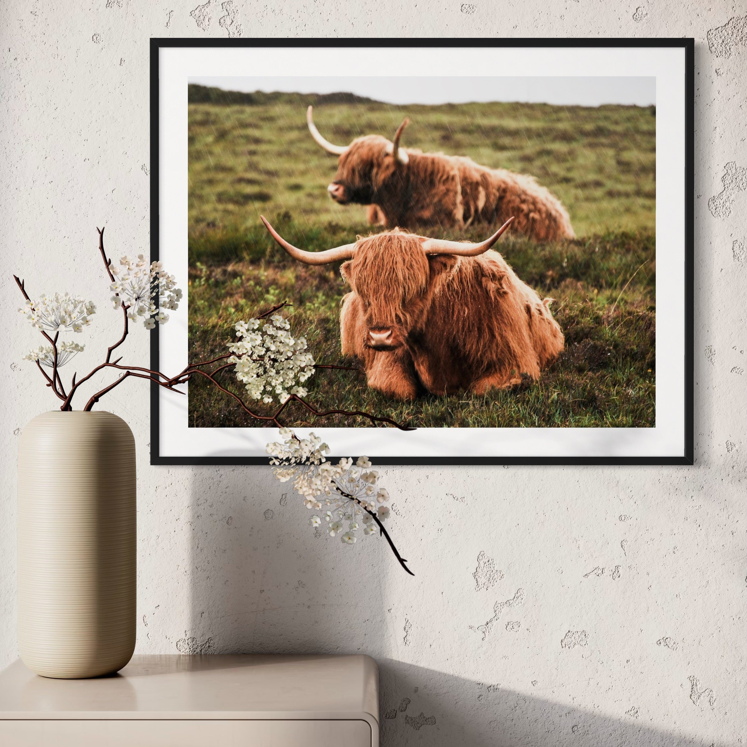 Highland Duo - Moderno Wall Art Wall Art