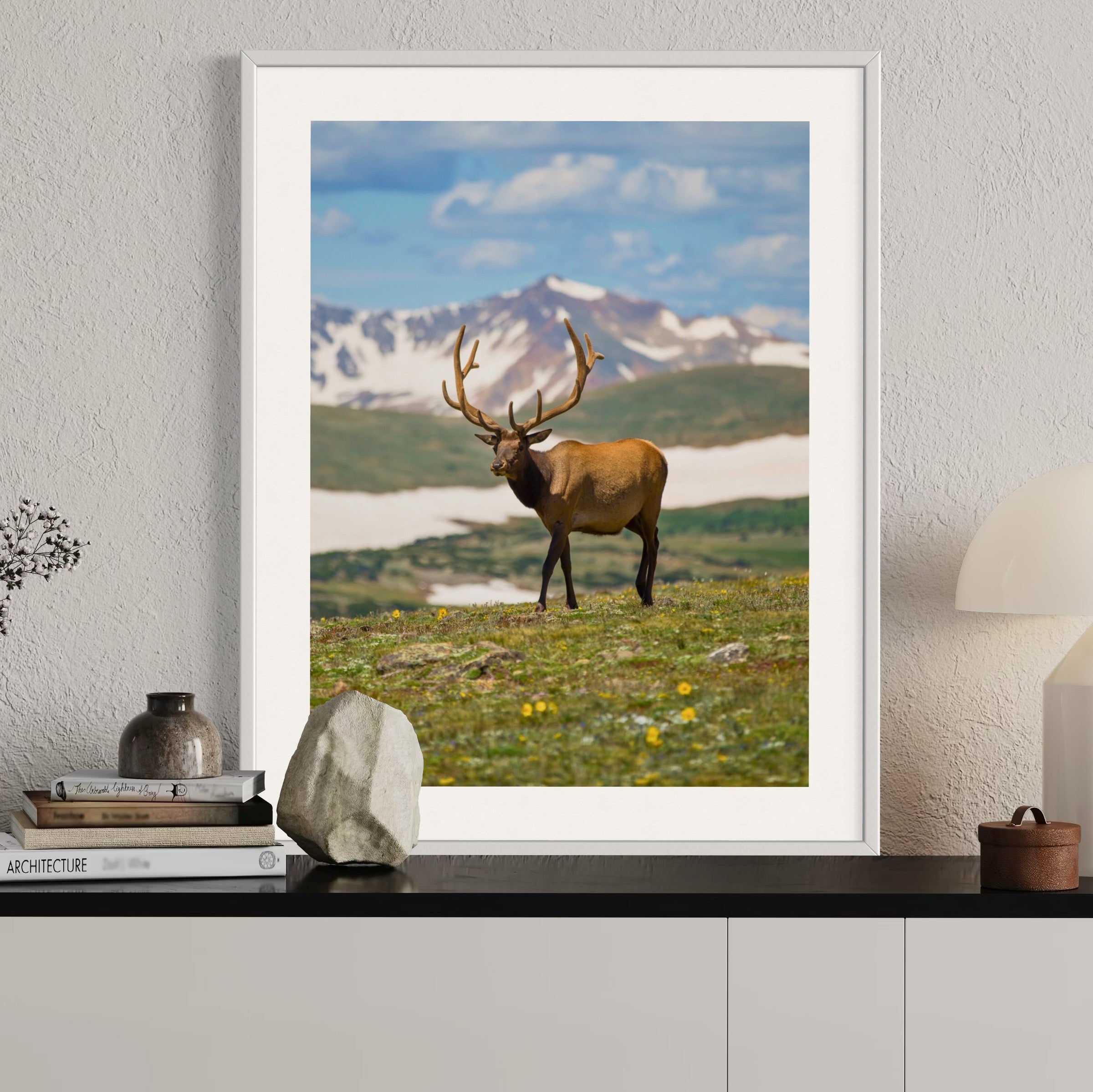 Deer in the Highlands - Moderno Wall Art Wall Art