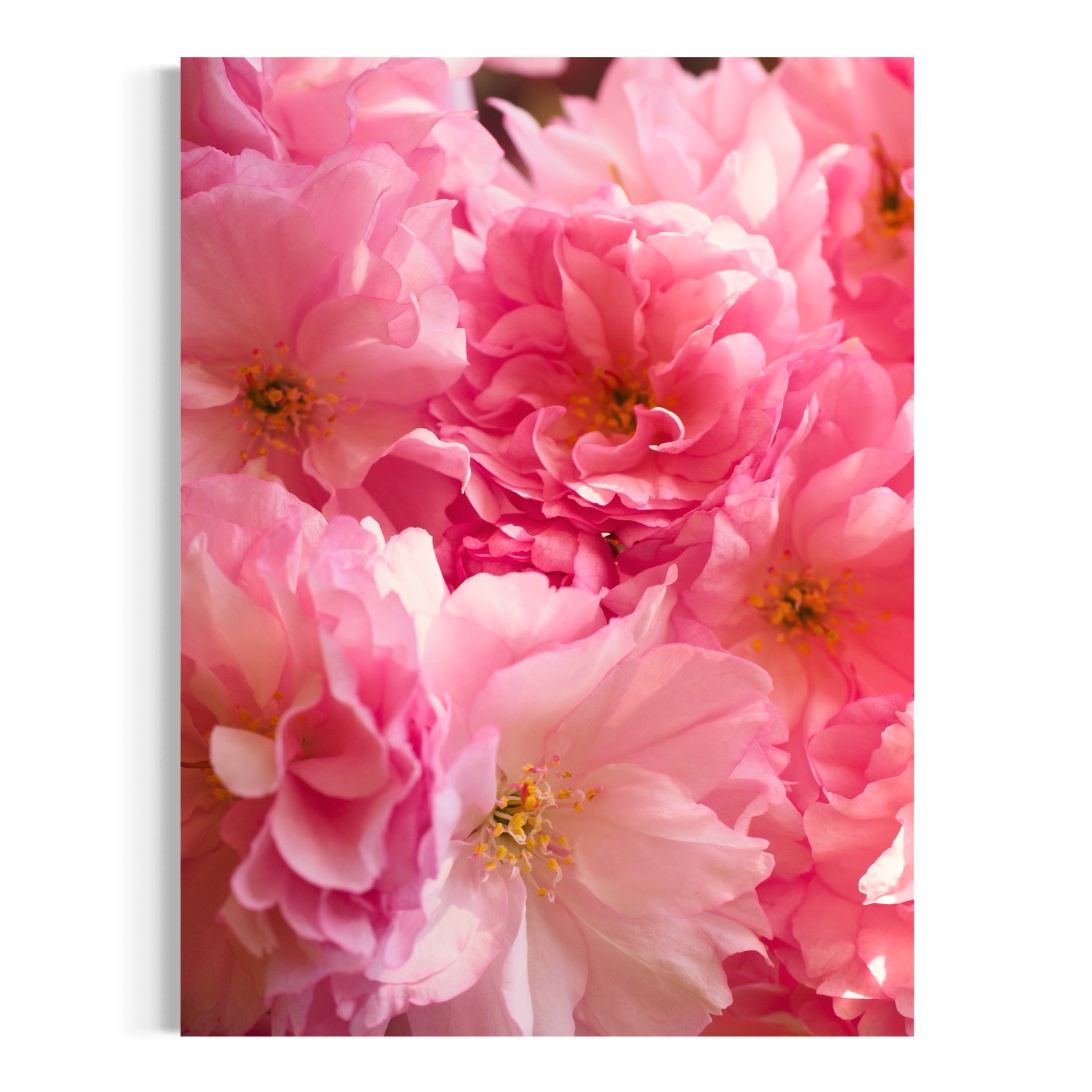 Sakura Floral Elegance - Moderno Wall Art Wall Art