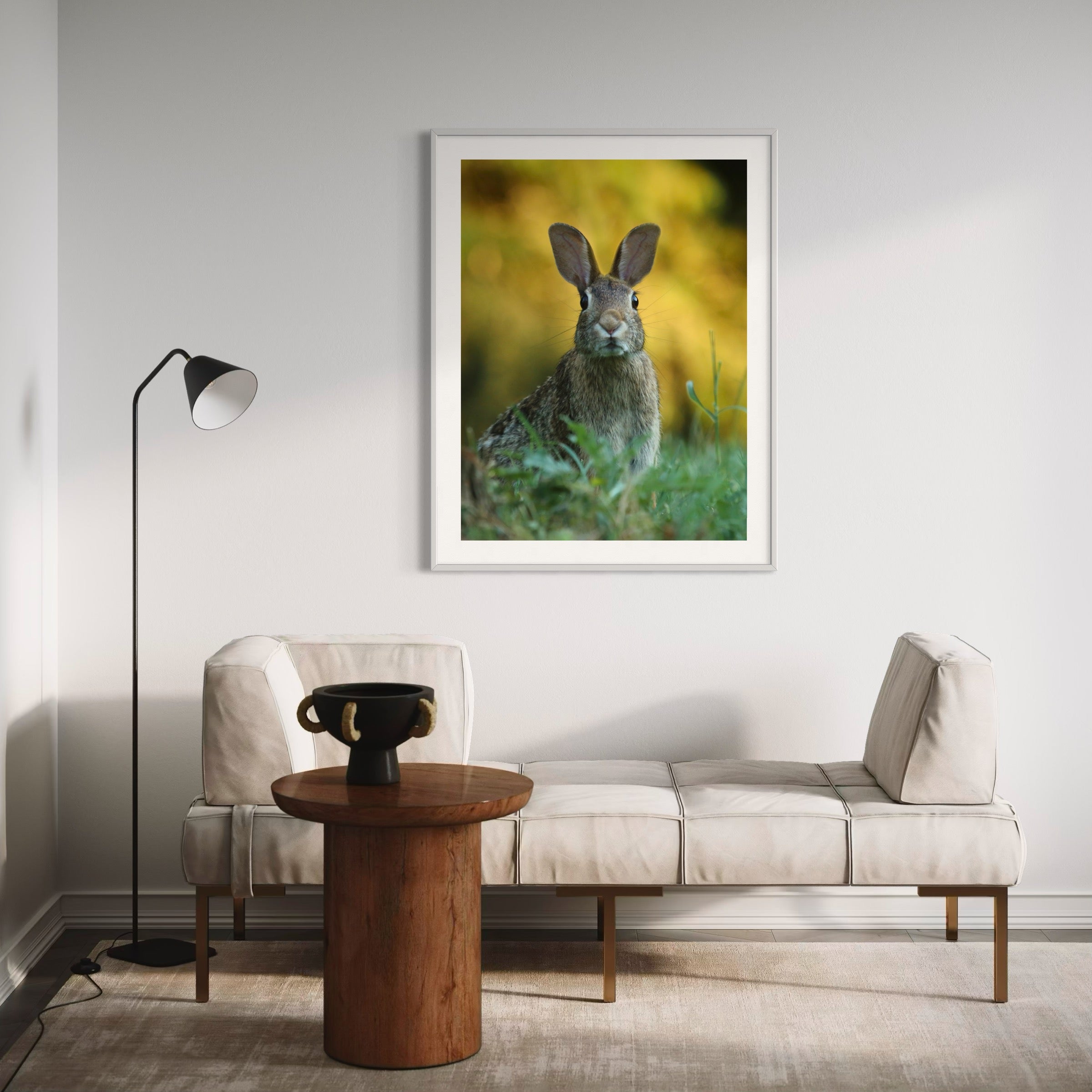 Curious Rabbit - Moderno Wall Art