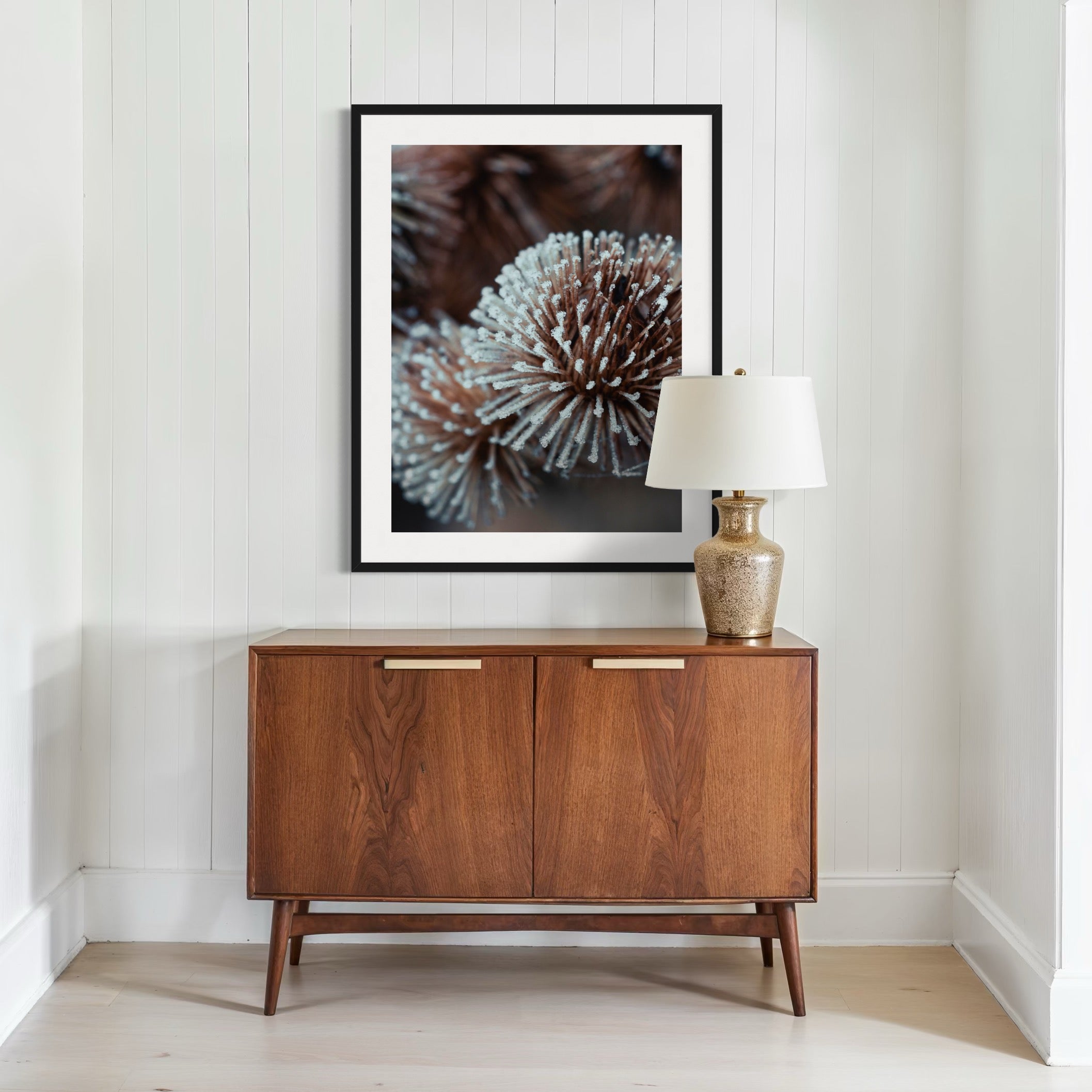 Dried Globe Thistle - Moderno Wall Art Wall Art