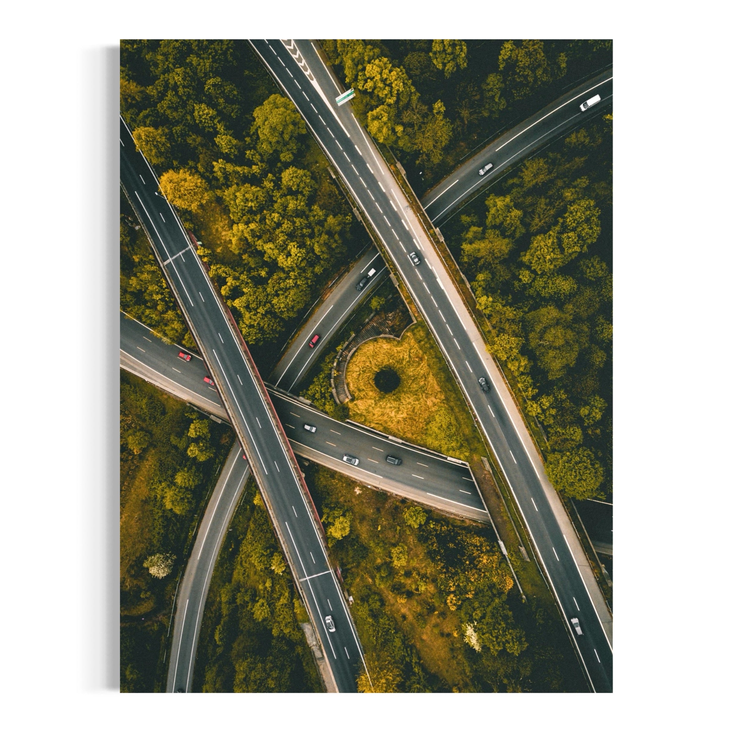 Intertwine - Moderno Wall Art Wall Art