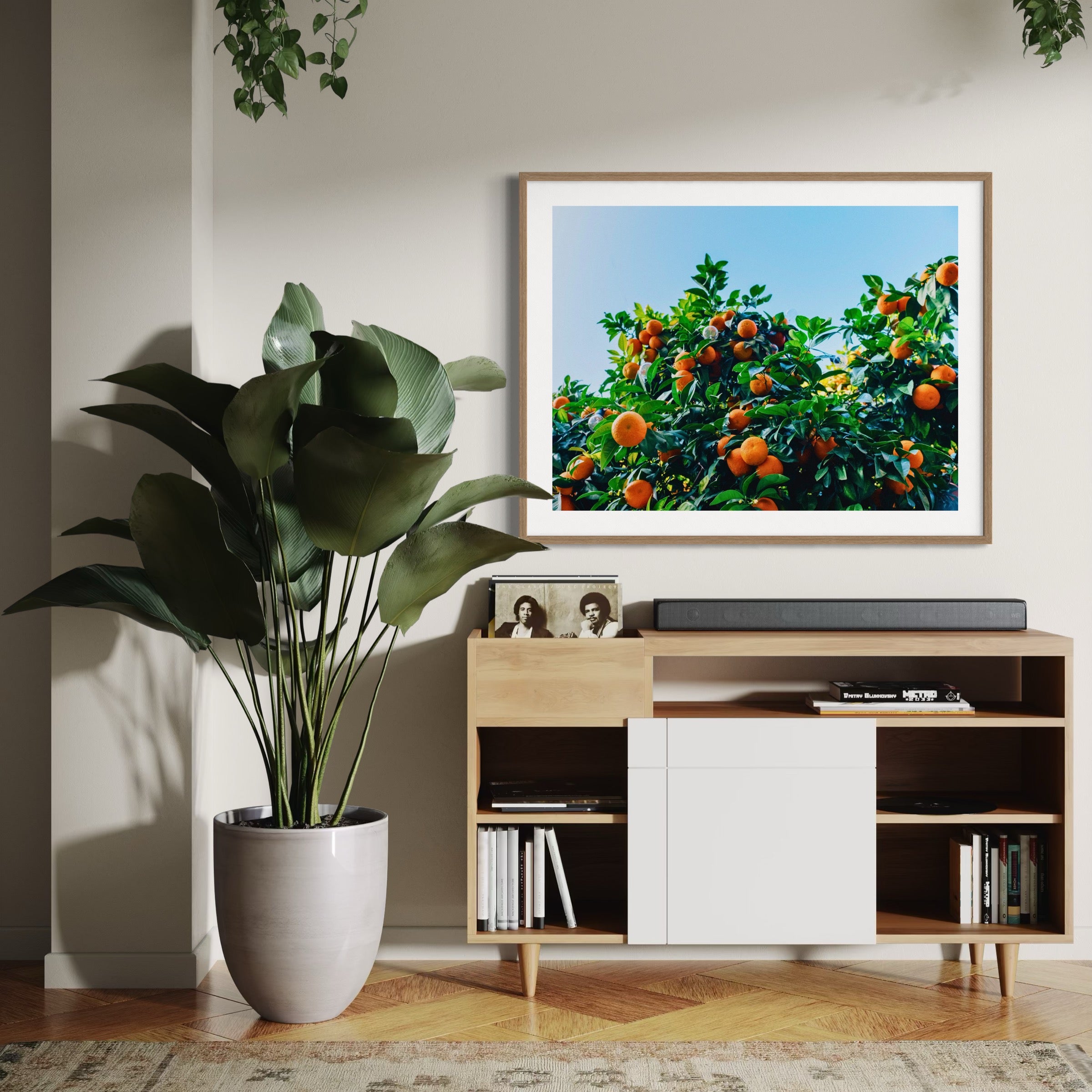 Córdoba Citrus - Moderno Wall Art Wall Art