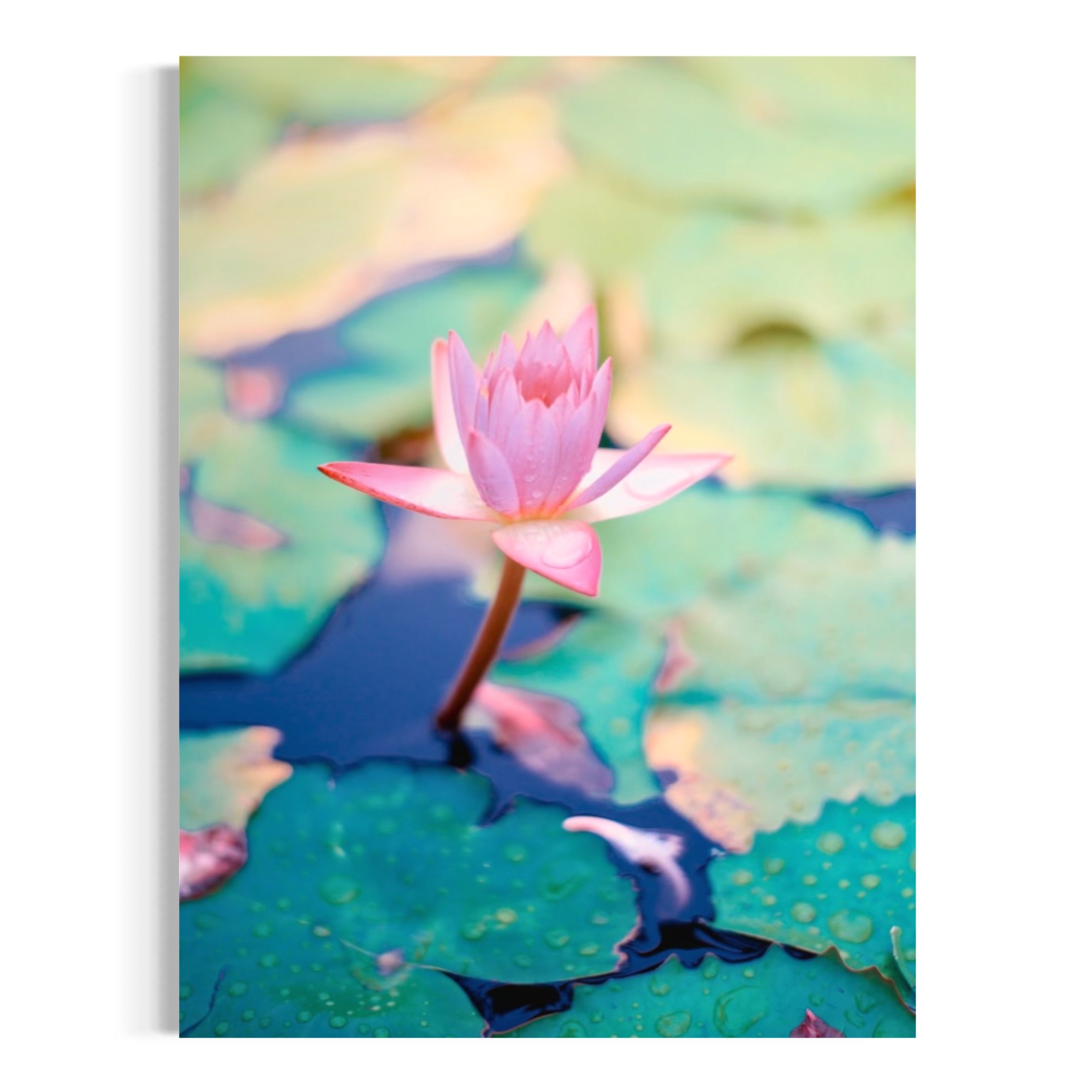 Lotus Flower - Moderno Wall Art Wall Art