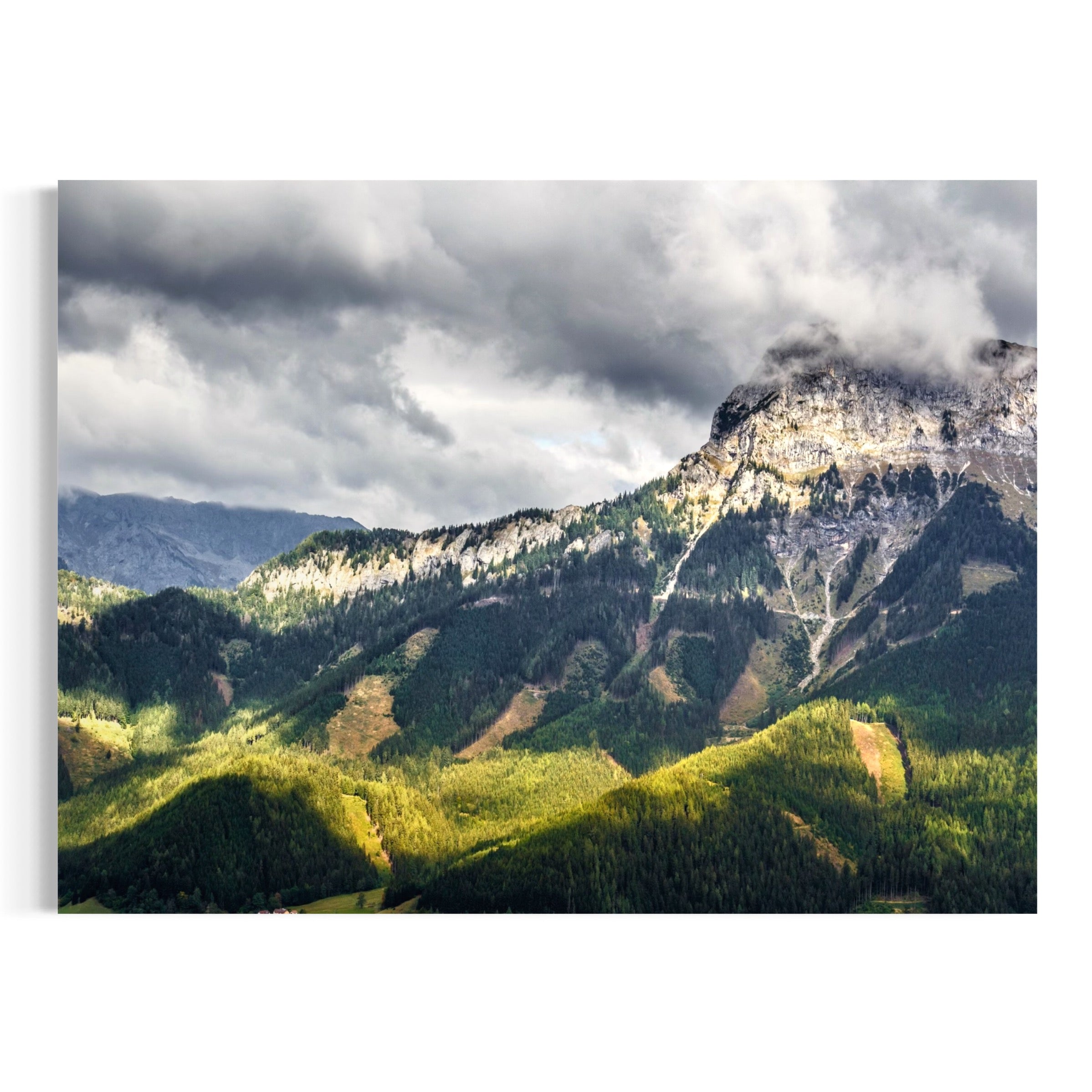 Emerald Veil - Moderno Wall Art Wall Art