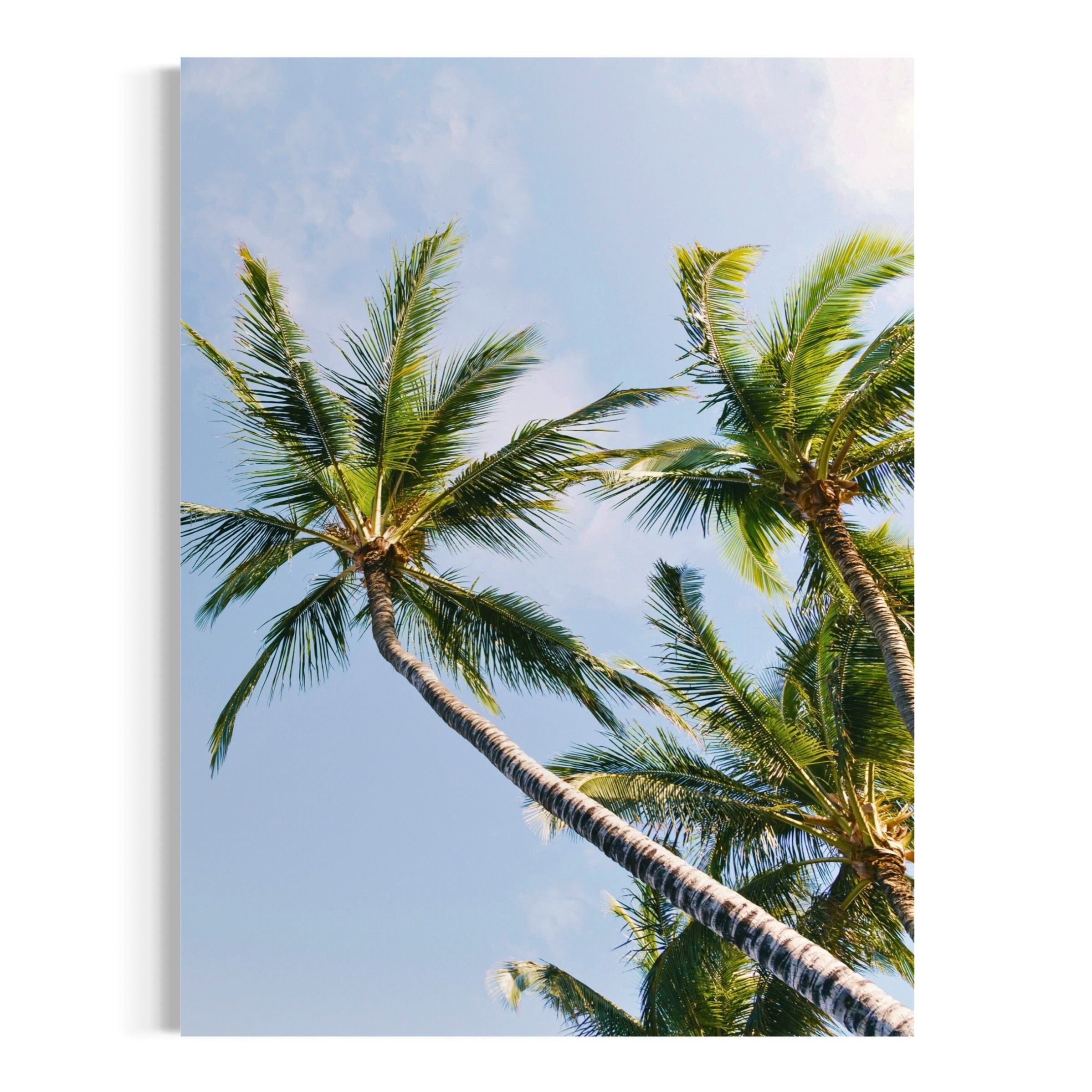 Beneath the Palms - Moderno Wall Art Wall Art