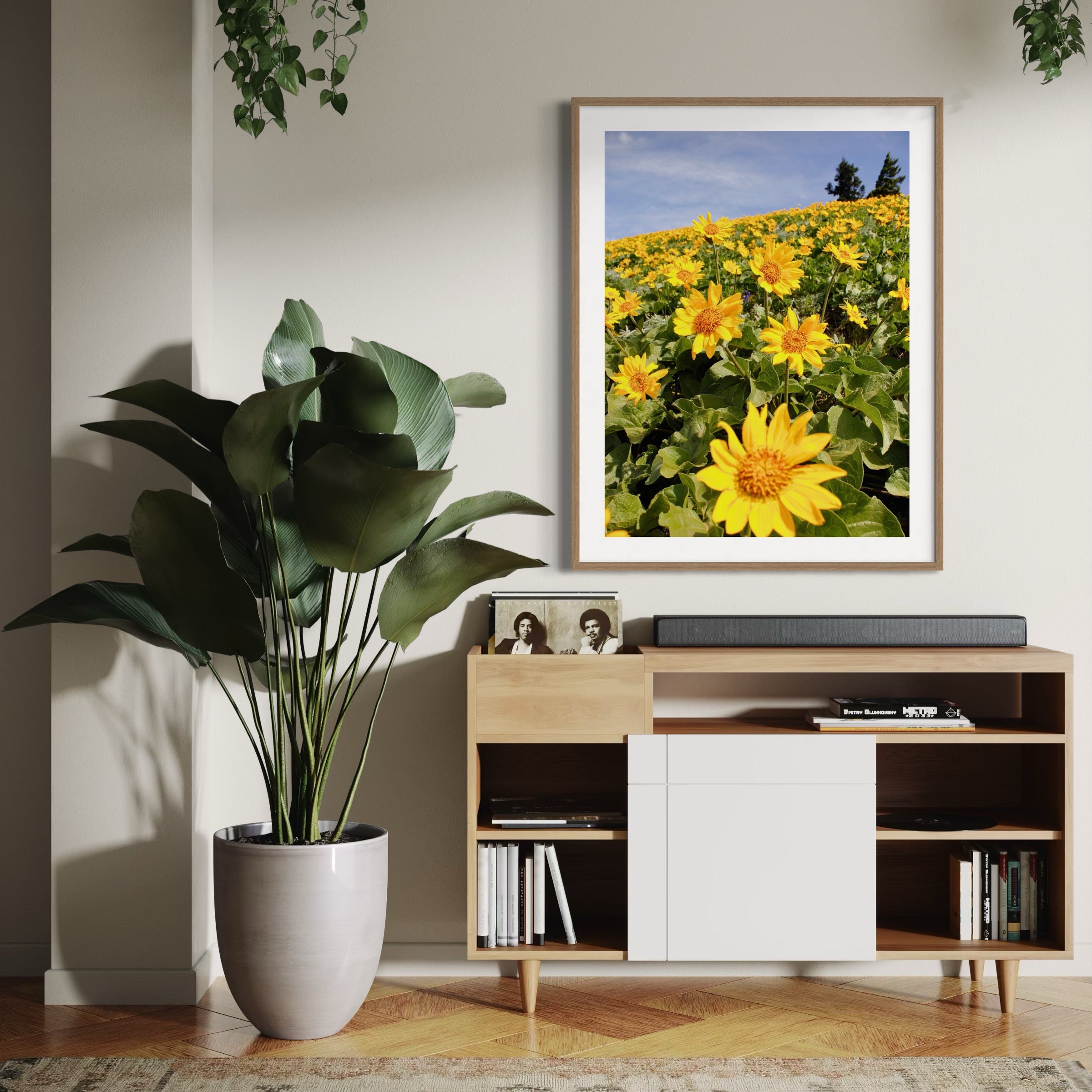 Hill of Sunshine - Moderno Wall Art Wall Art