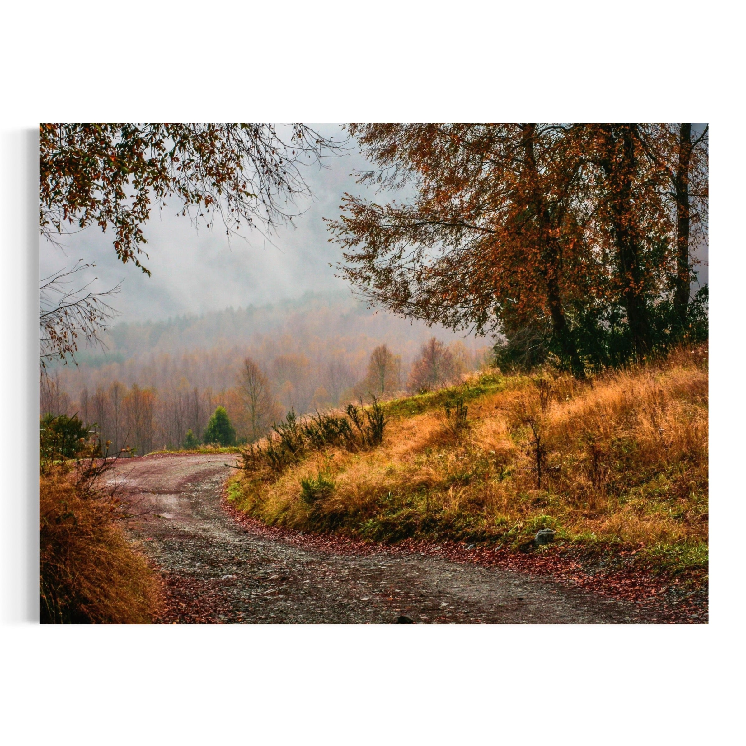 Fog and Fallen Leaves - Moderno Wall Art Wall Art