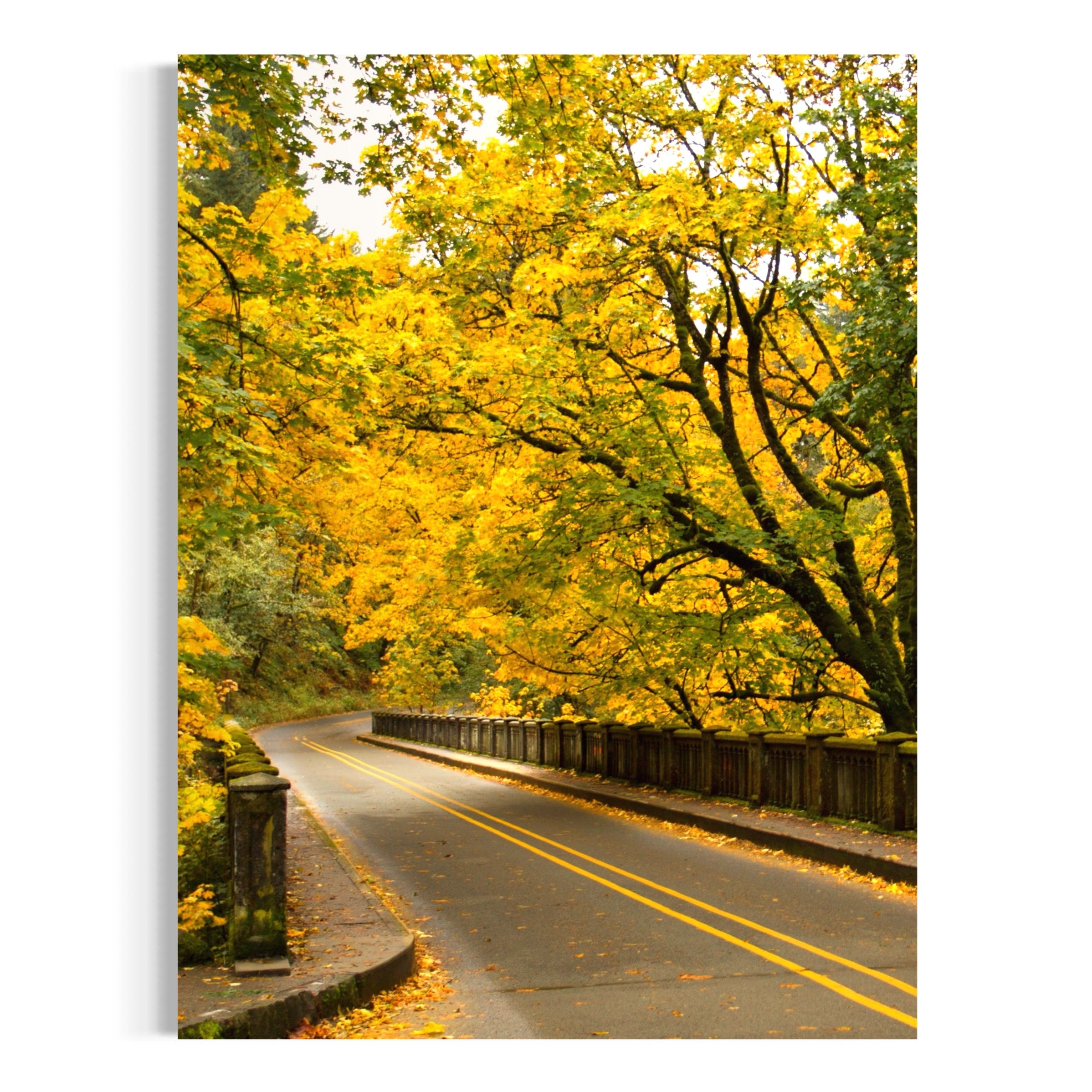Early Fall Road Trip - Moderno Wall Art Wall Art