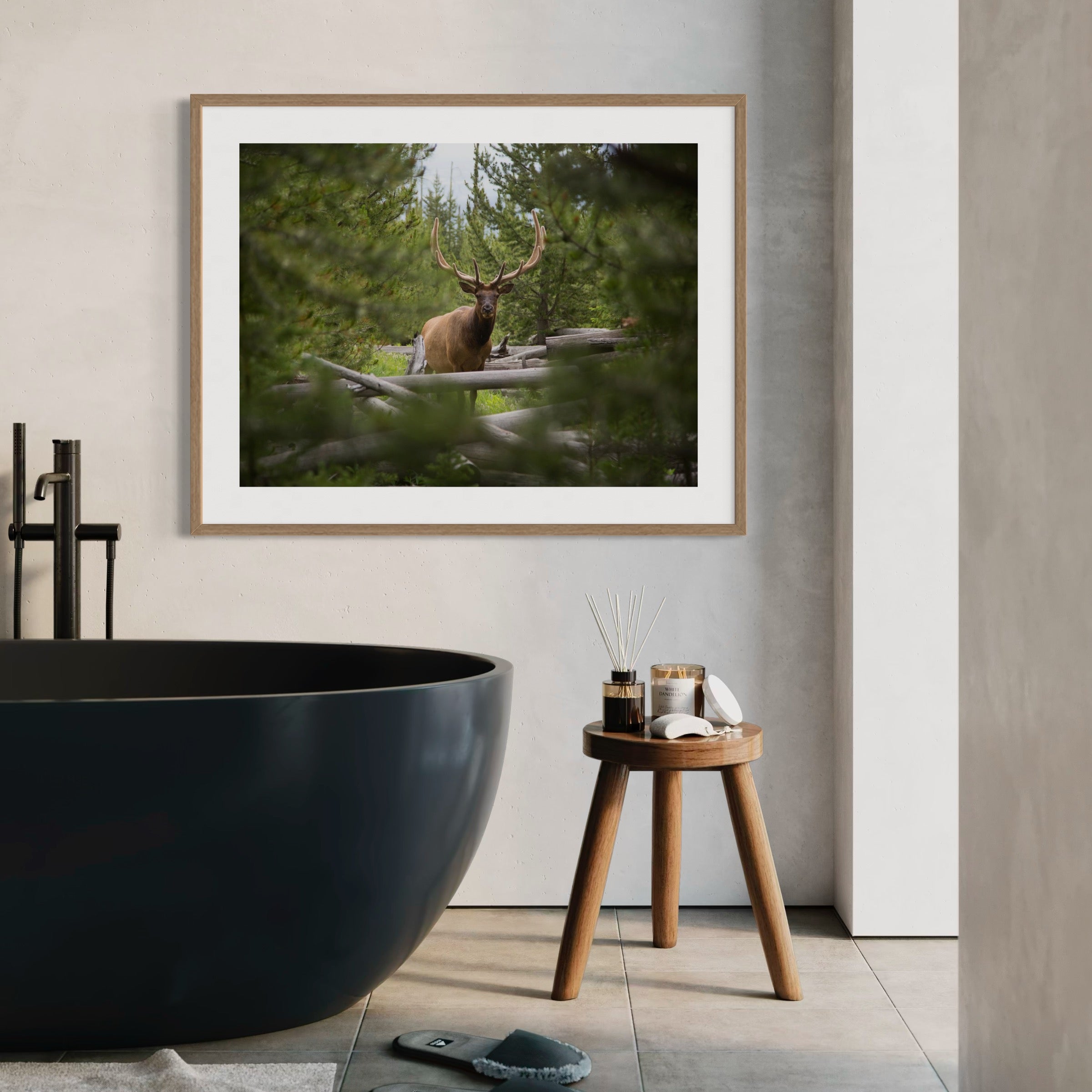 Majestic Elk in the Forest - Moderno Wall Art Wall Art