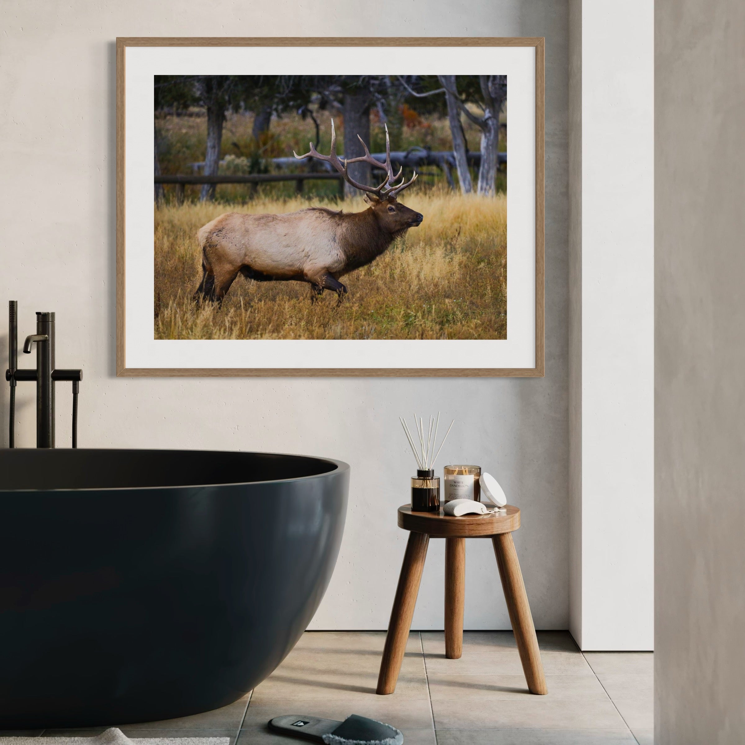 Elk on the Move - Moderno Wall Art Wall Art