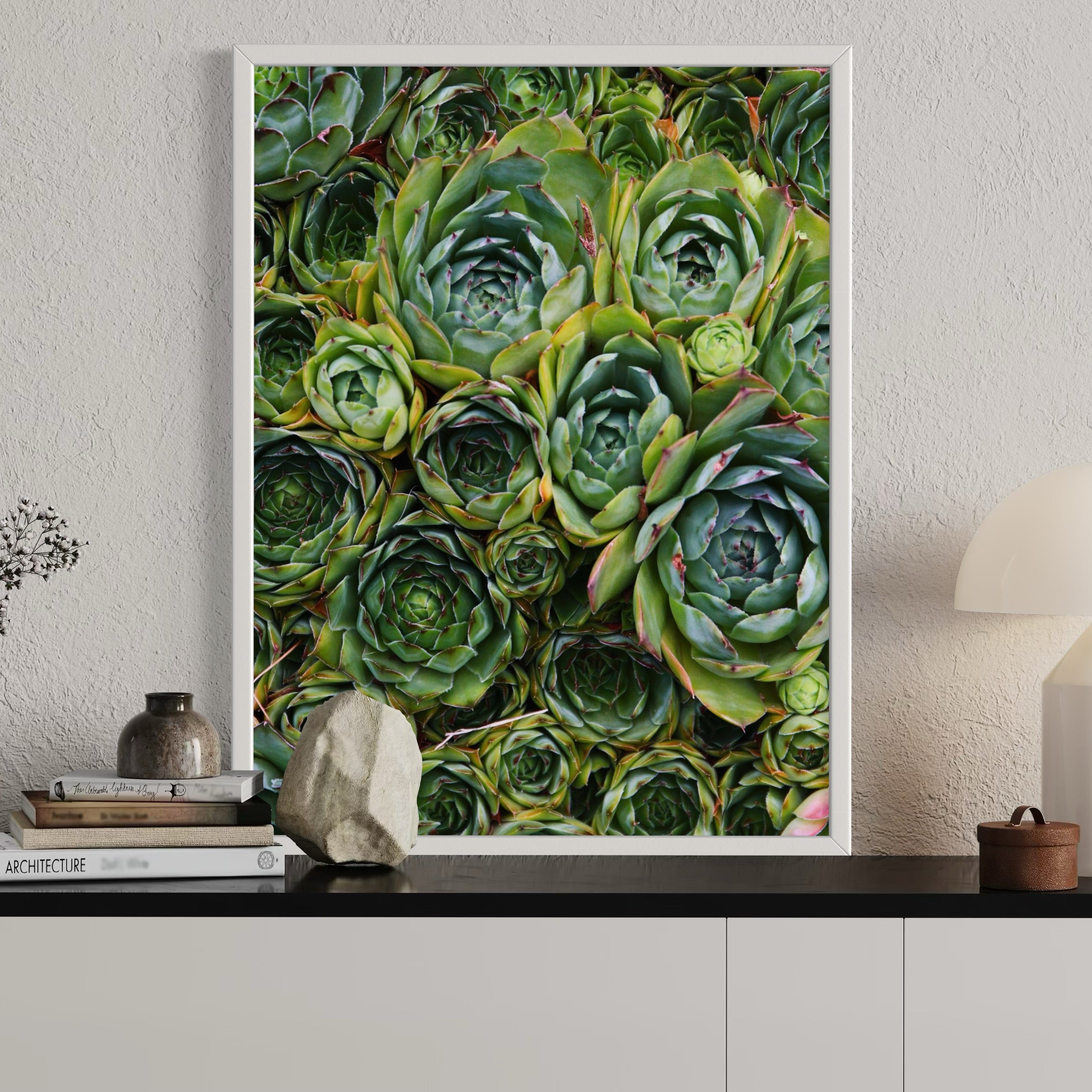 Succulent Symmetry - Moderno Wall Art Wall Art