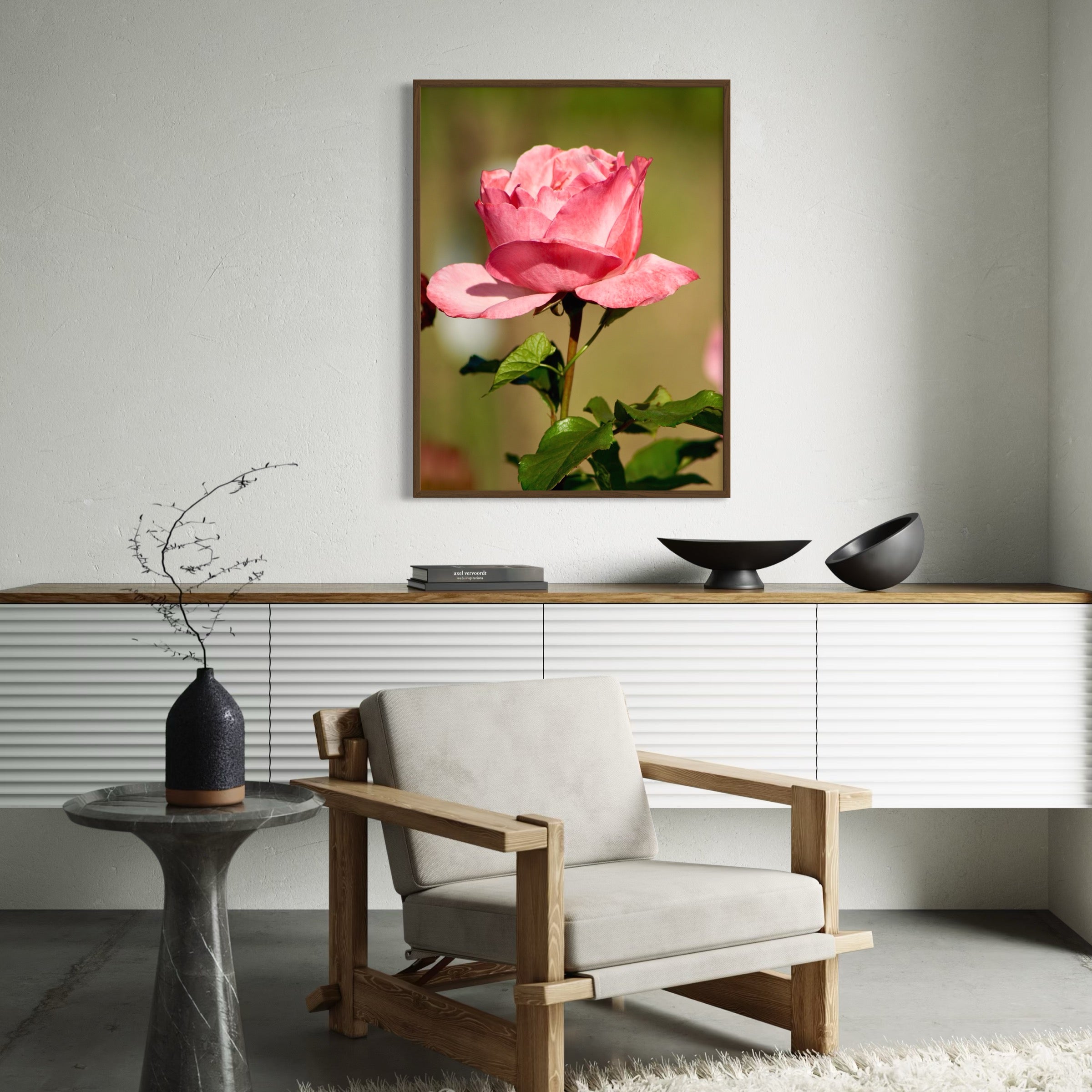 Sunlit Rose - Moderno Wall Art Wall Art