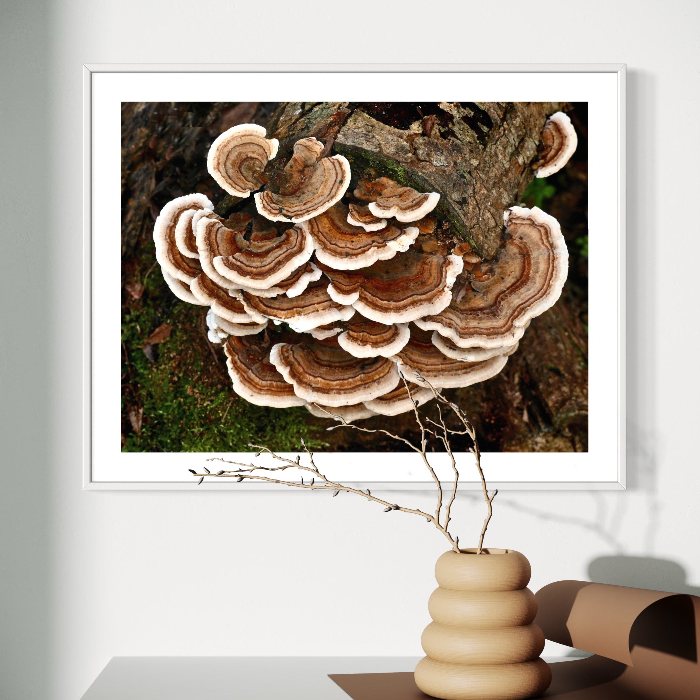 Turkey Tail Fungus - Moderno Wall Art Wall Art