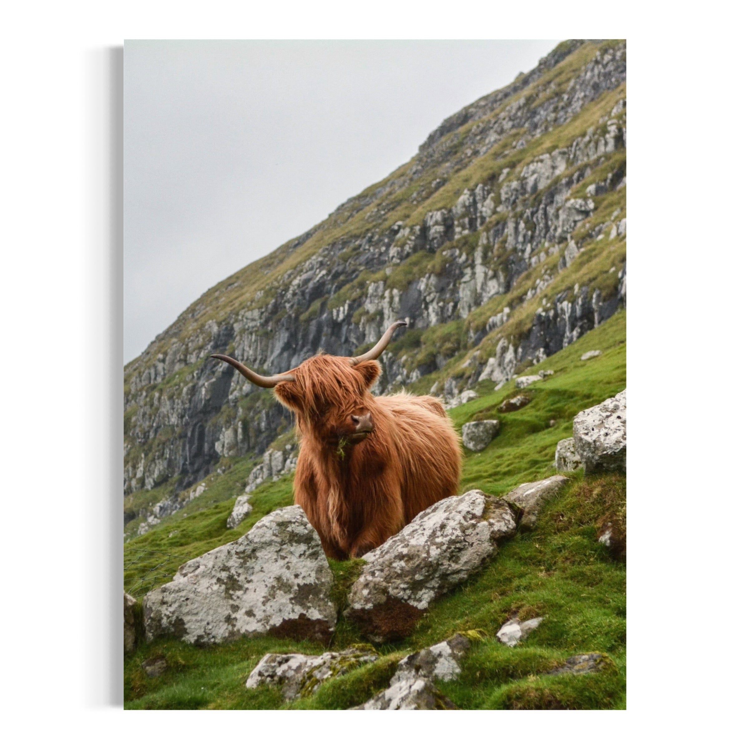 Rugged Beauty - Moderno Wall Art Wall Art