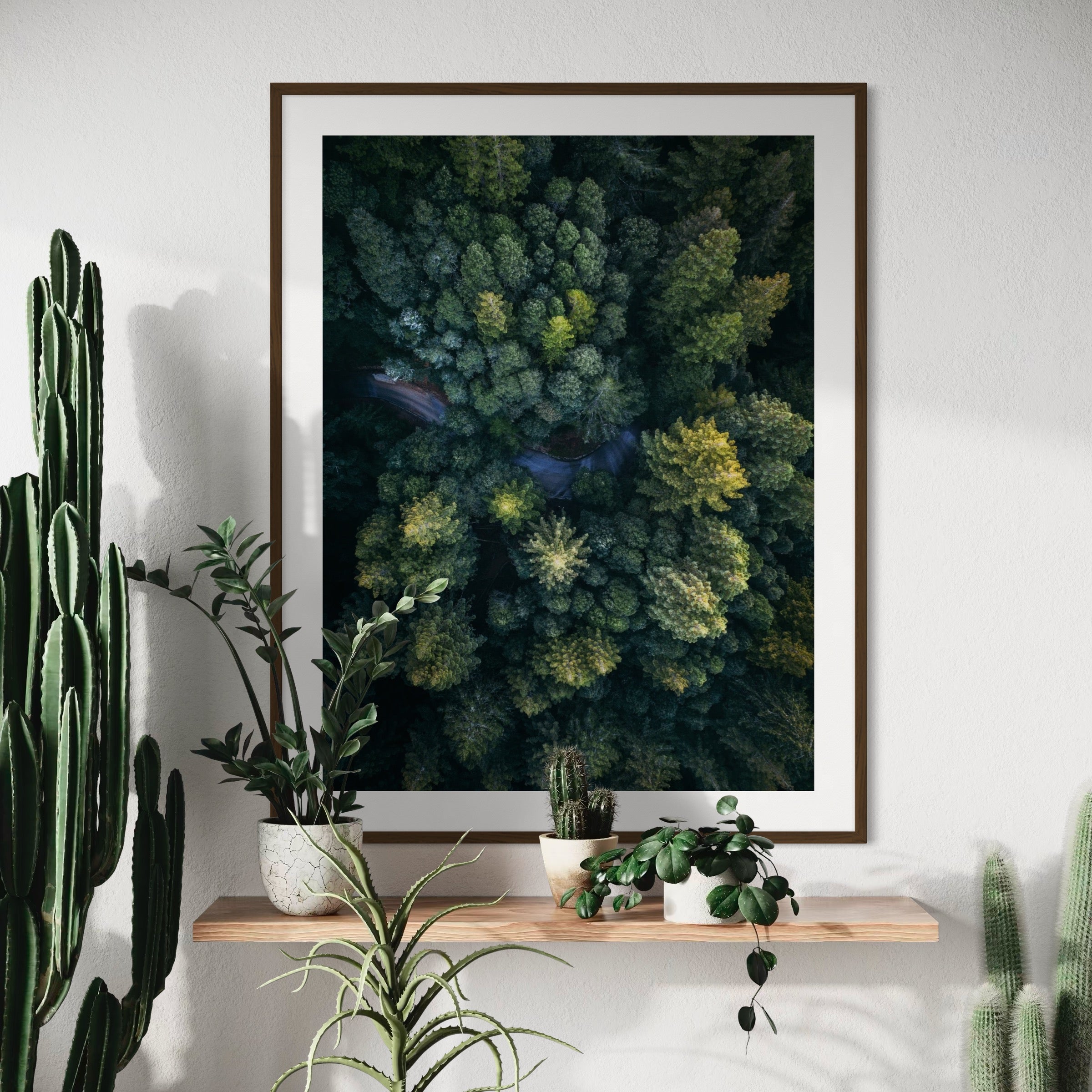 Winding Through the Woods - Moderno Wall Art Wall Art