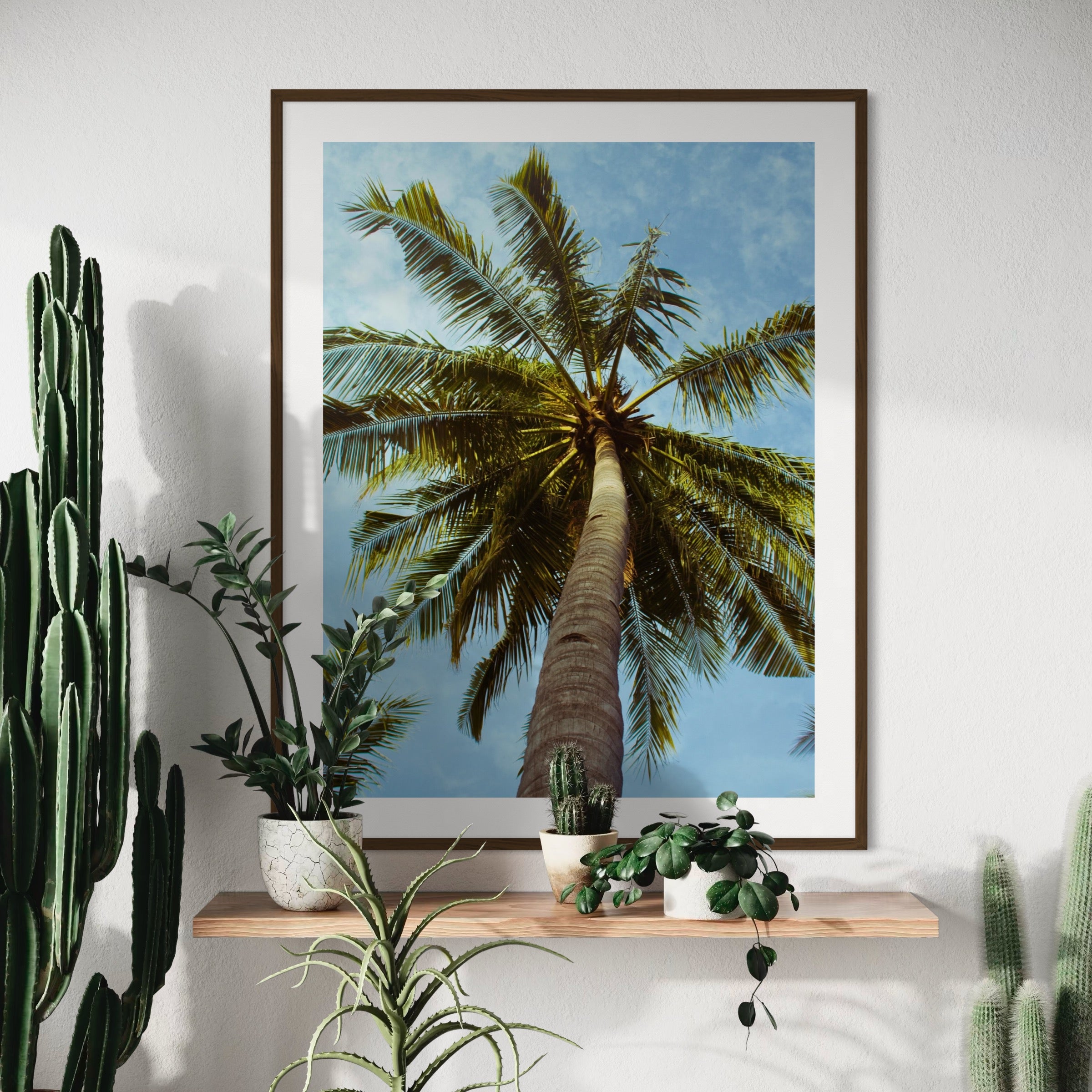 Palm Tree Perspective - Moderno Wall Art Wall Art