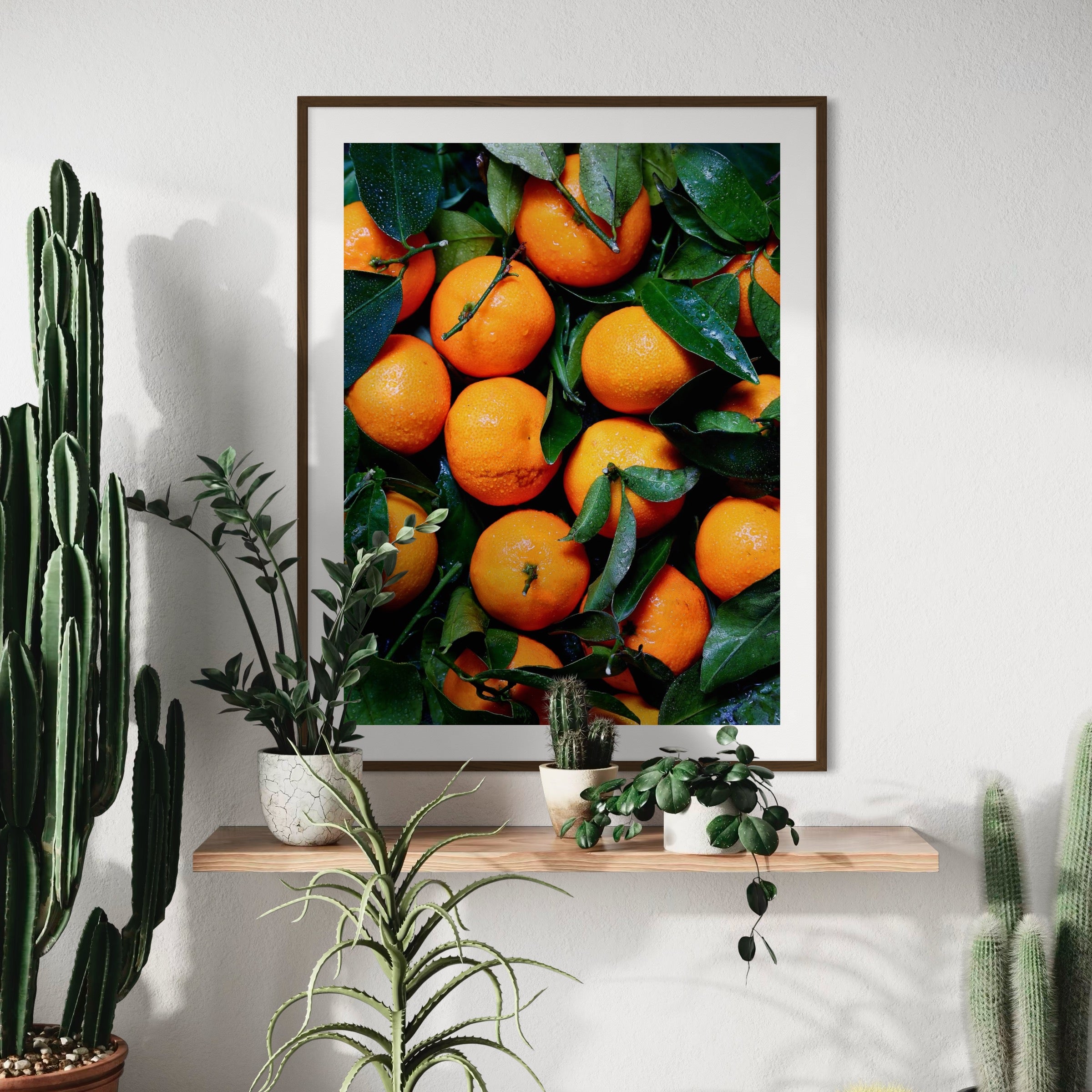 Freshly Washed Oranges - Moderno Wall Art