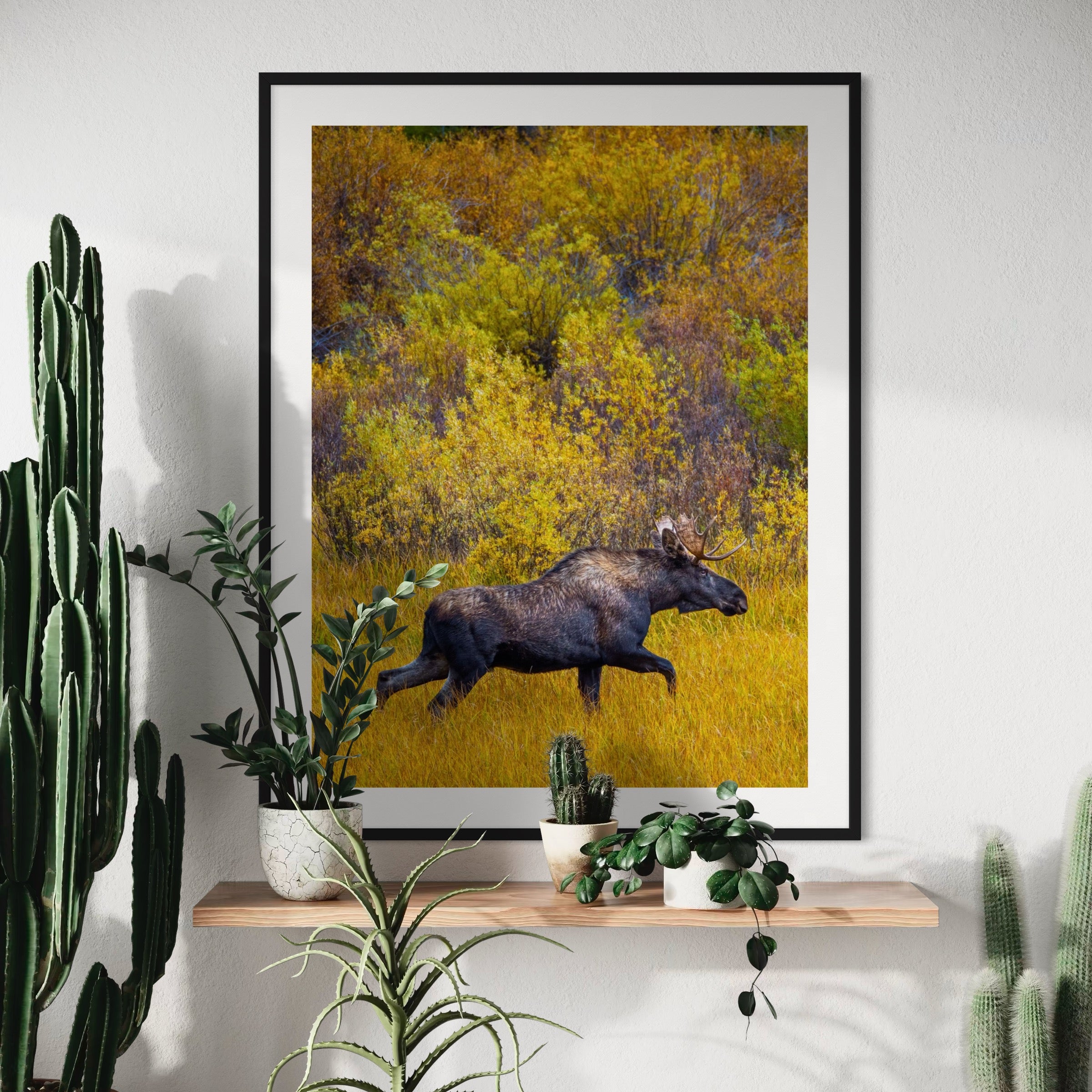 Majestic Moose in Fall - Moderno Wall Art Wall Art
