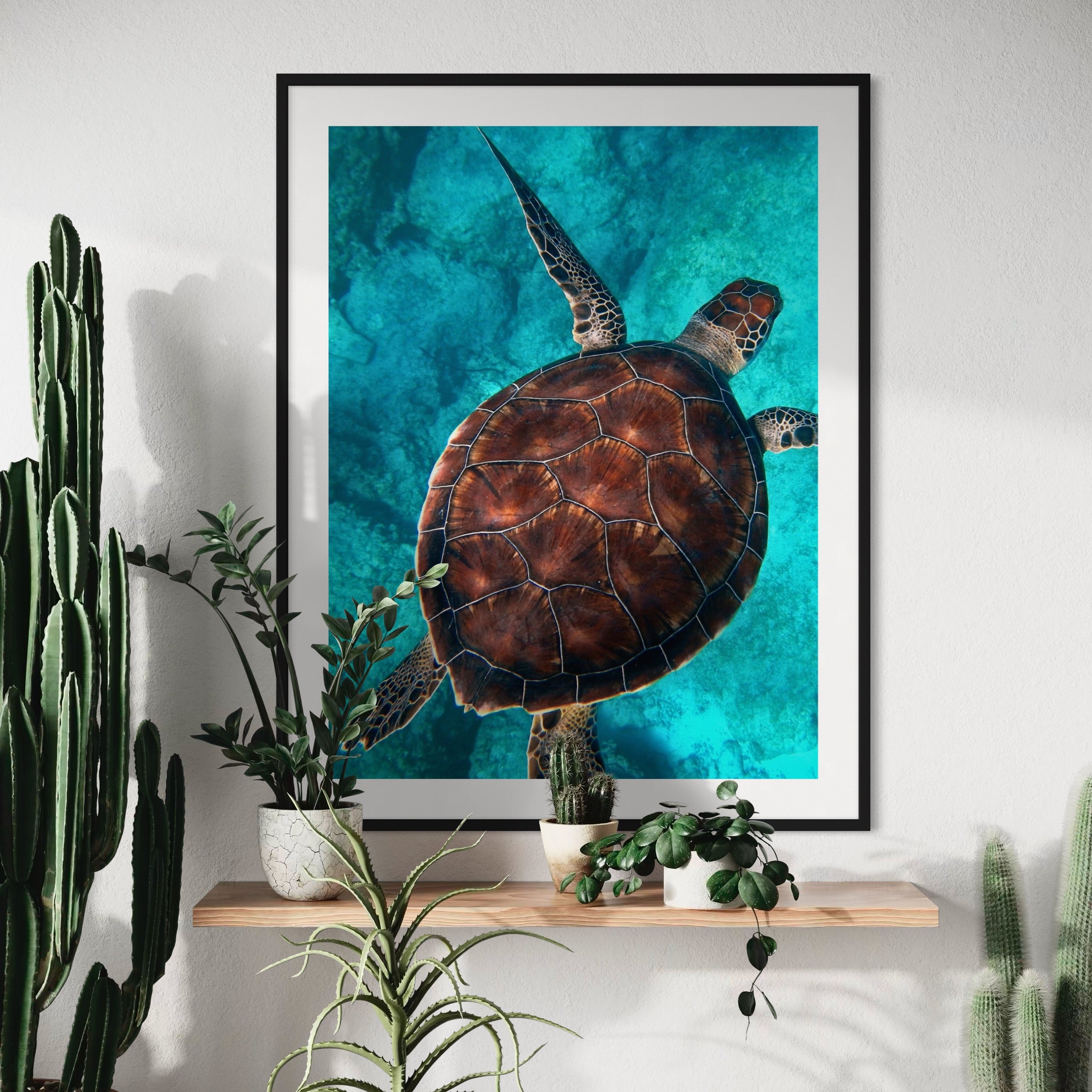 Gliding Through the Shadows - Moderno Wall Art Wall Art