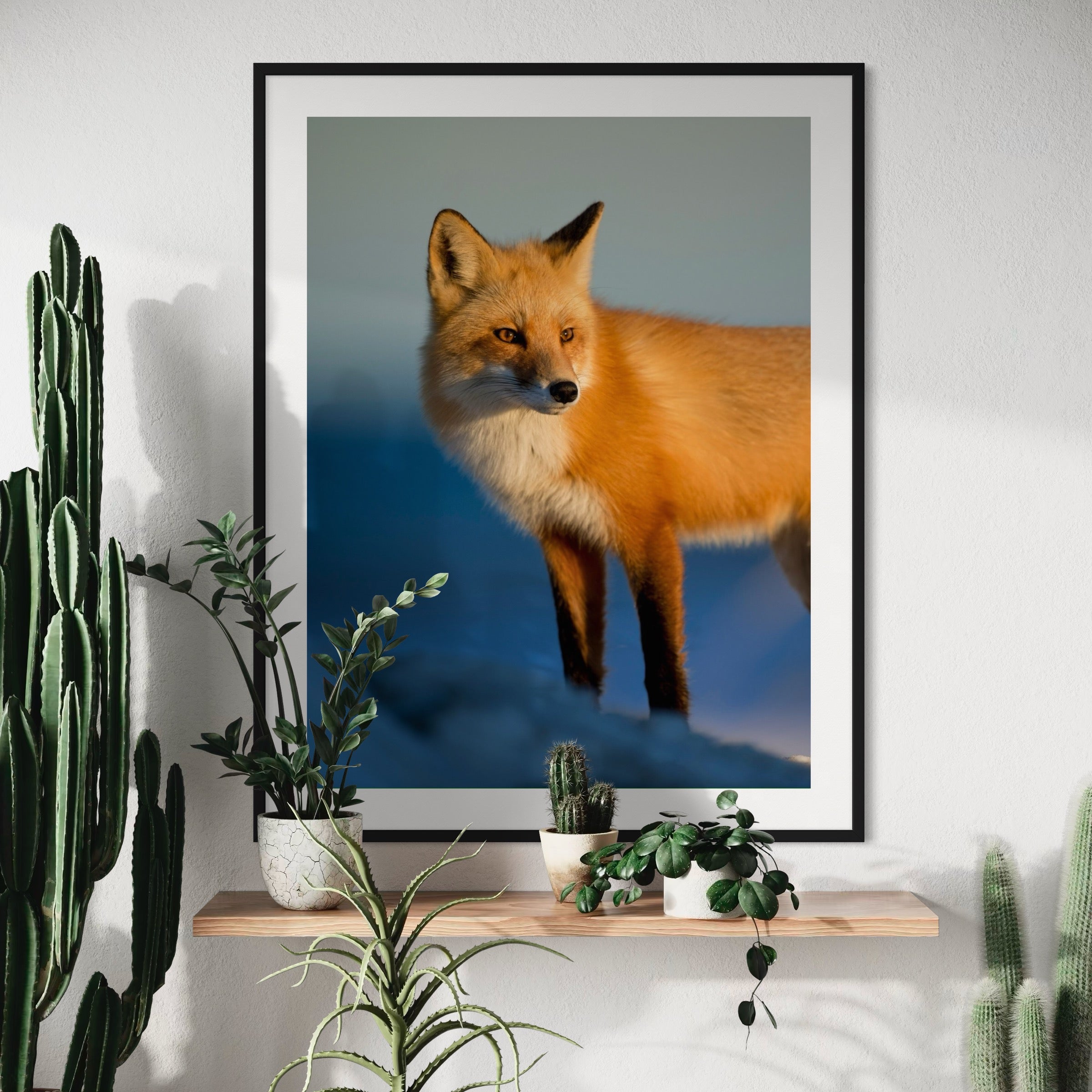 Sunrise Watcher - Moderno Wall Art Wall Art