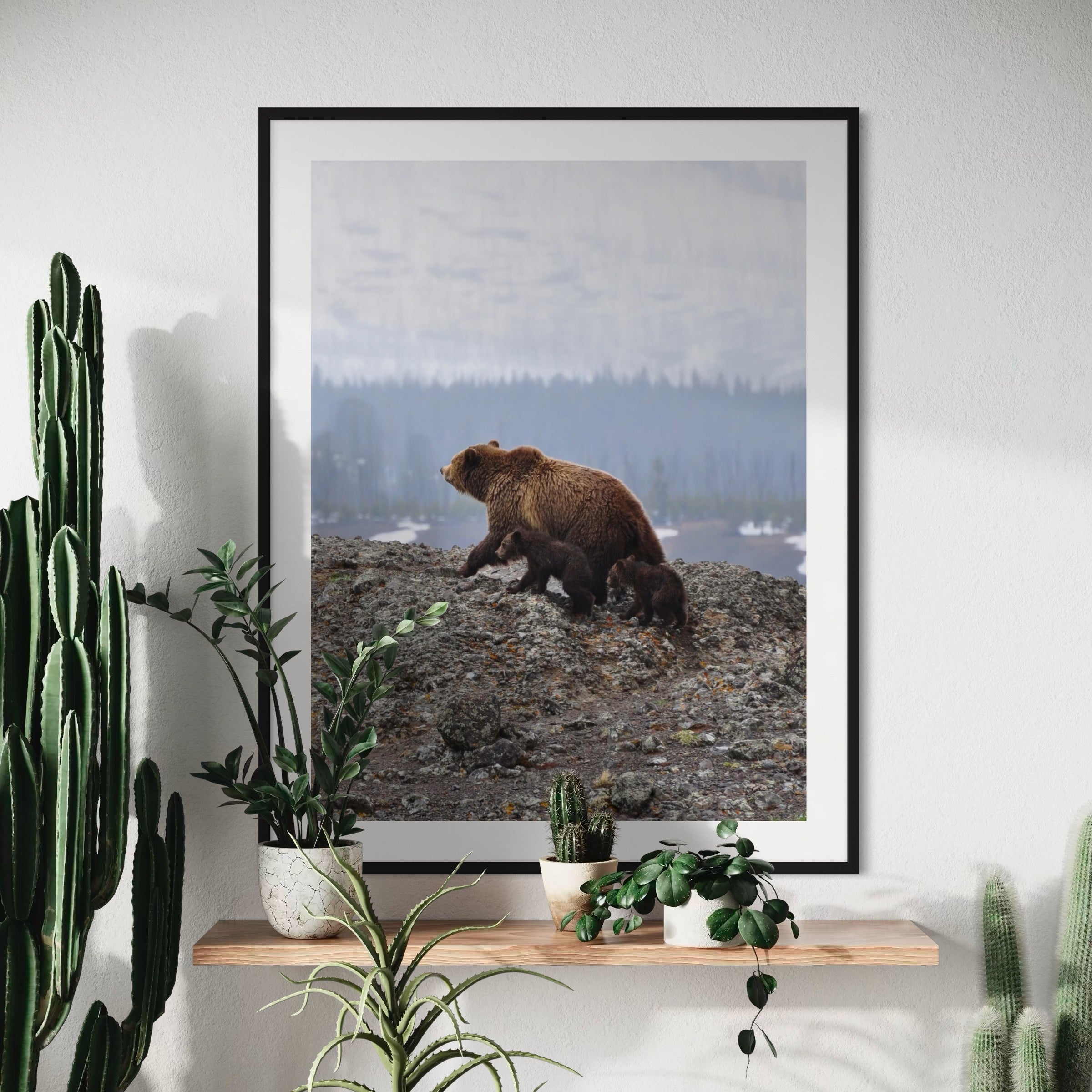 Bear and Two Cubs - Moderno Wall Art Wall Art