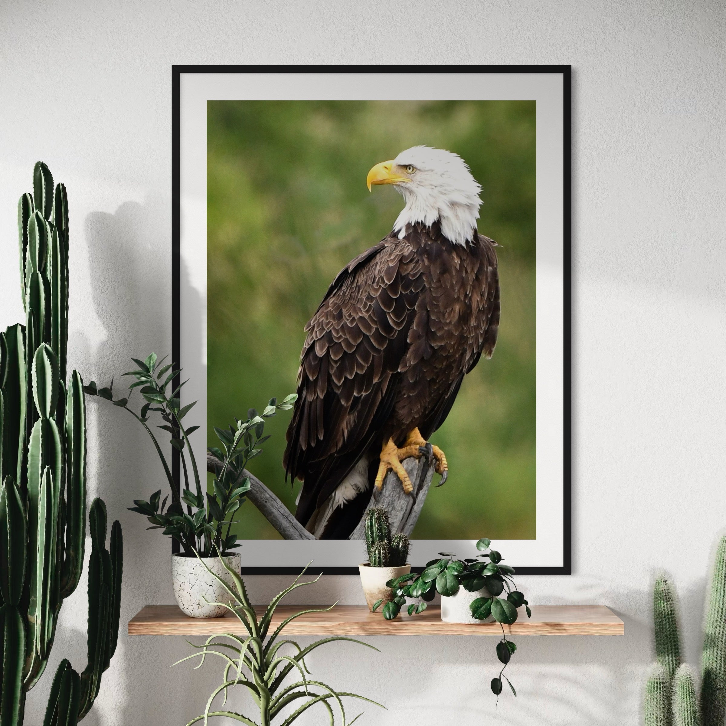 Watchful Hunter - Moderno Wall Art Wall Art