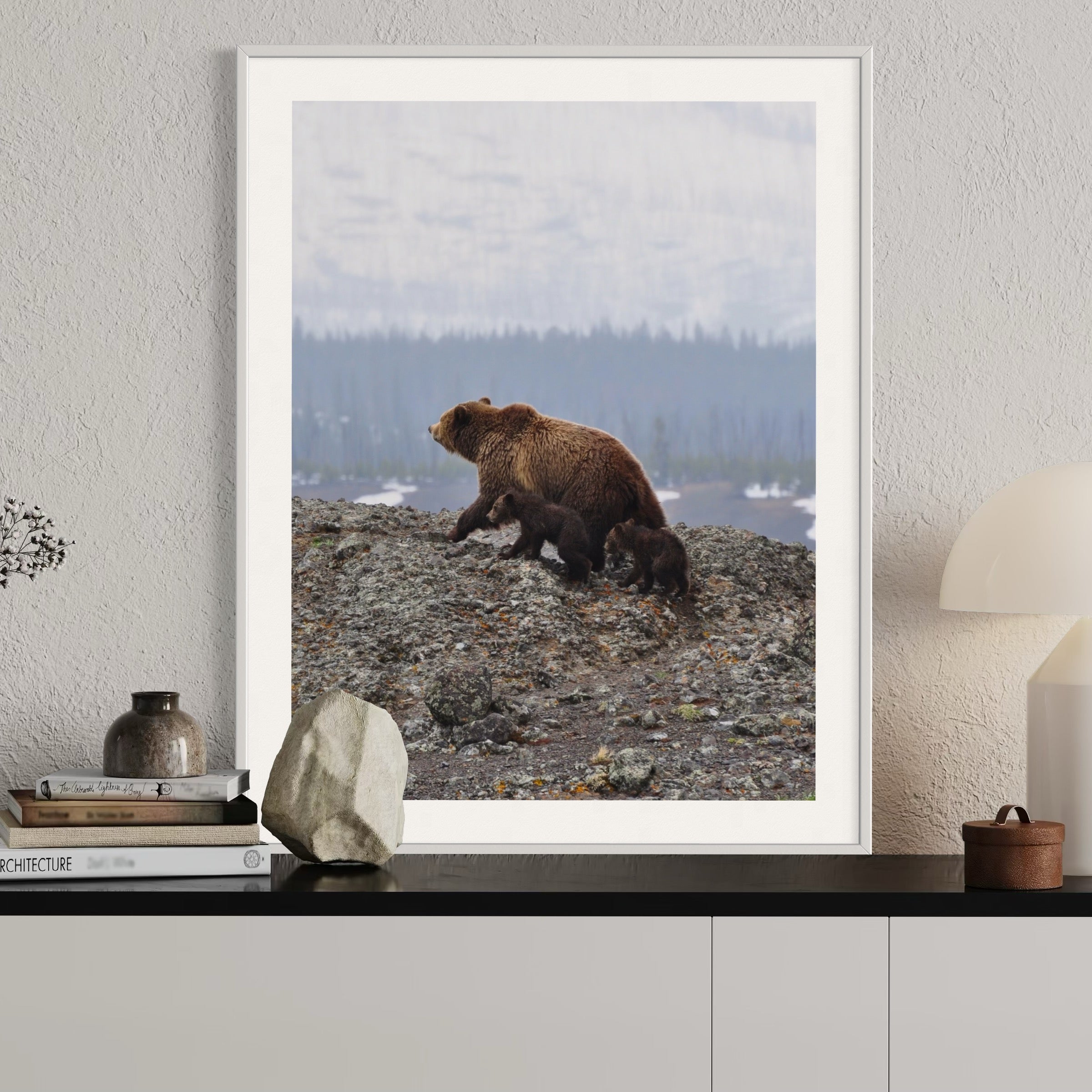 Bear and Two Cubs - Moderno Wall Art Wall Art