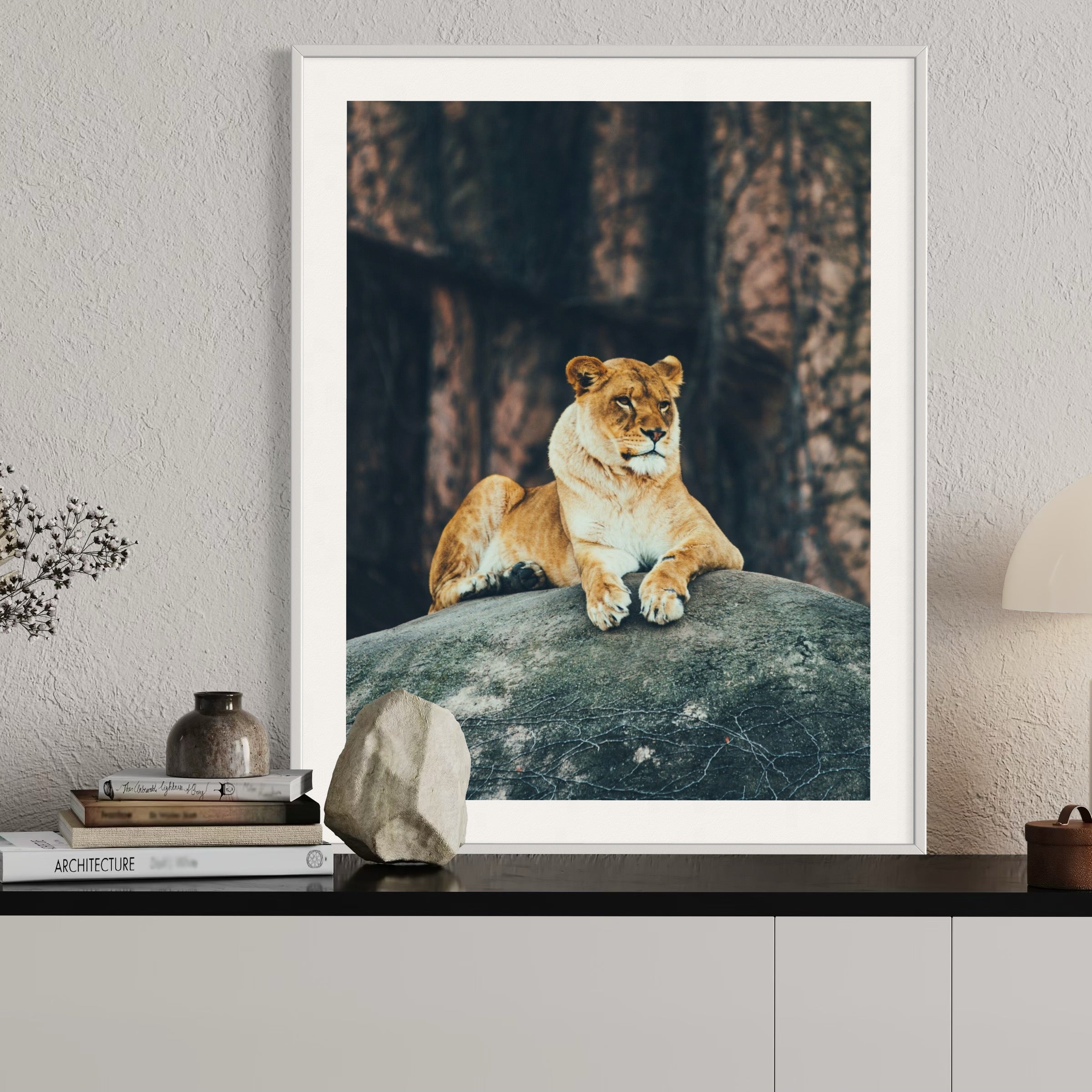 Resting Lioness - Moderno Wall Art Wall Art