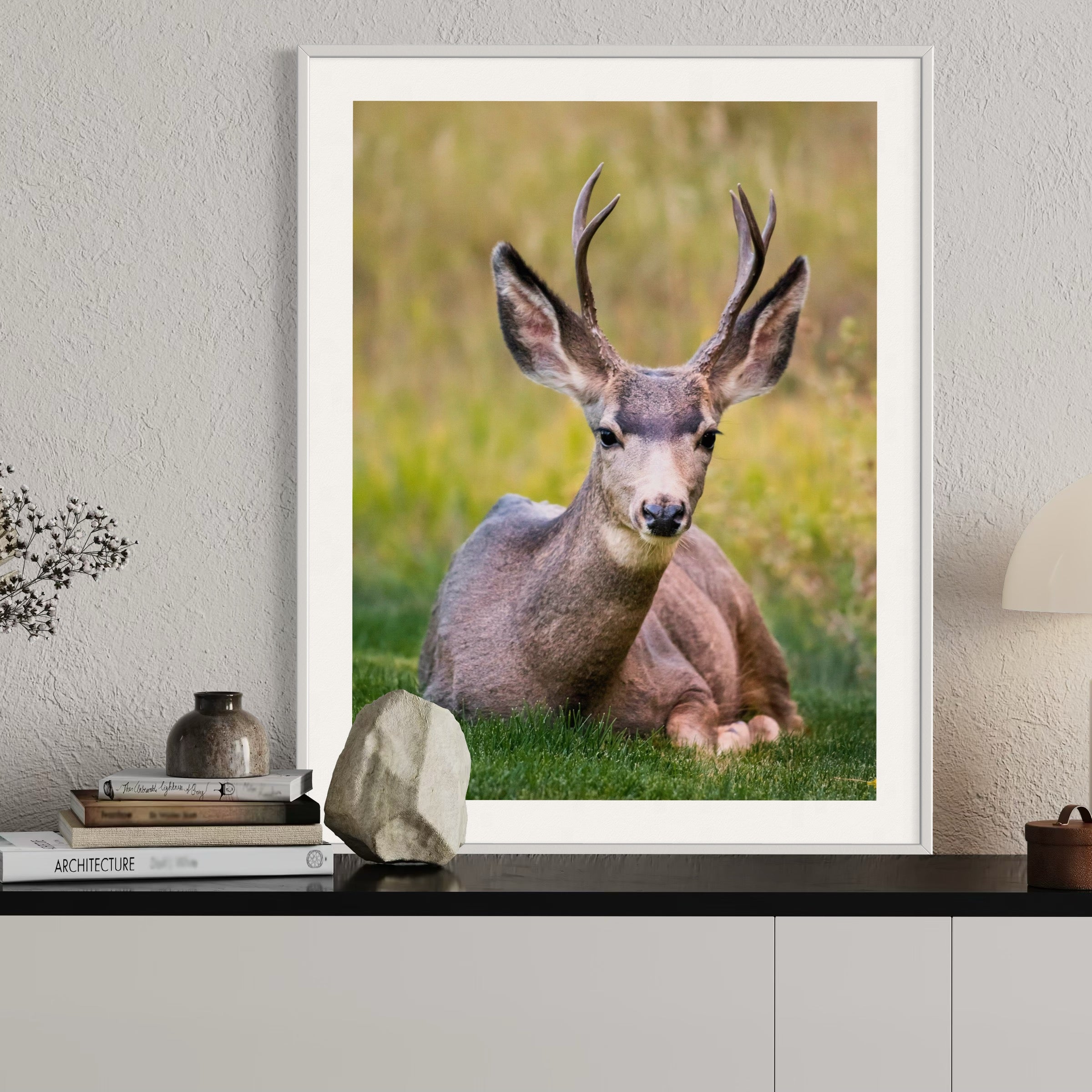 California Mule Deer - Moderno Wall Art Wall Art