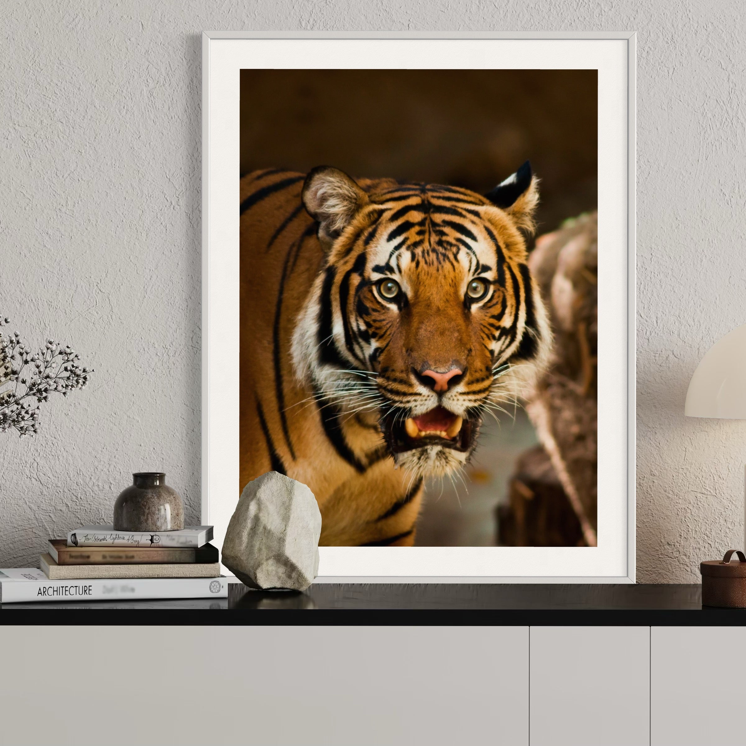 Intense Gaze of a Tiger - Moderno Wall Art Wall Art