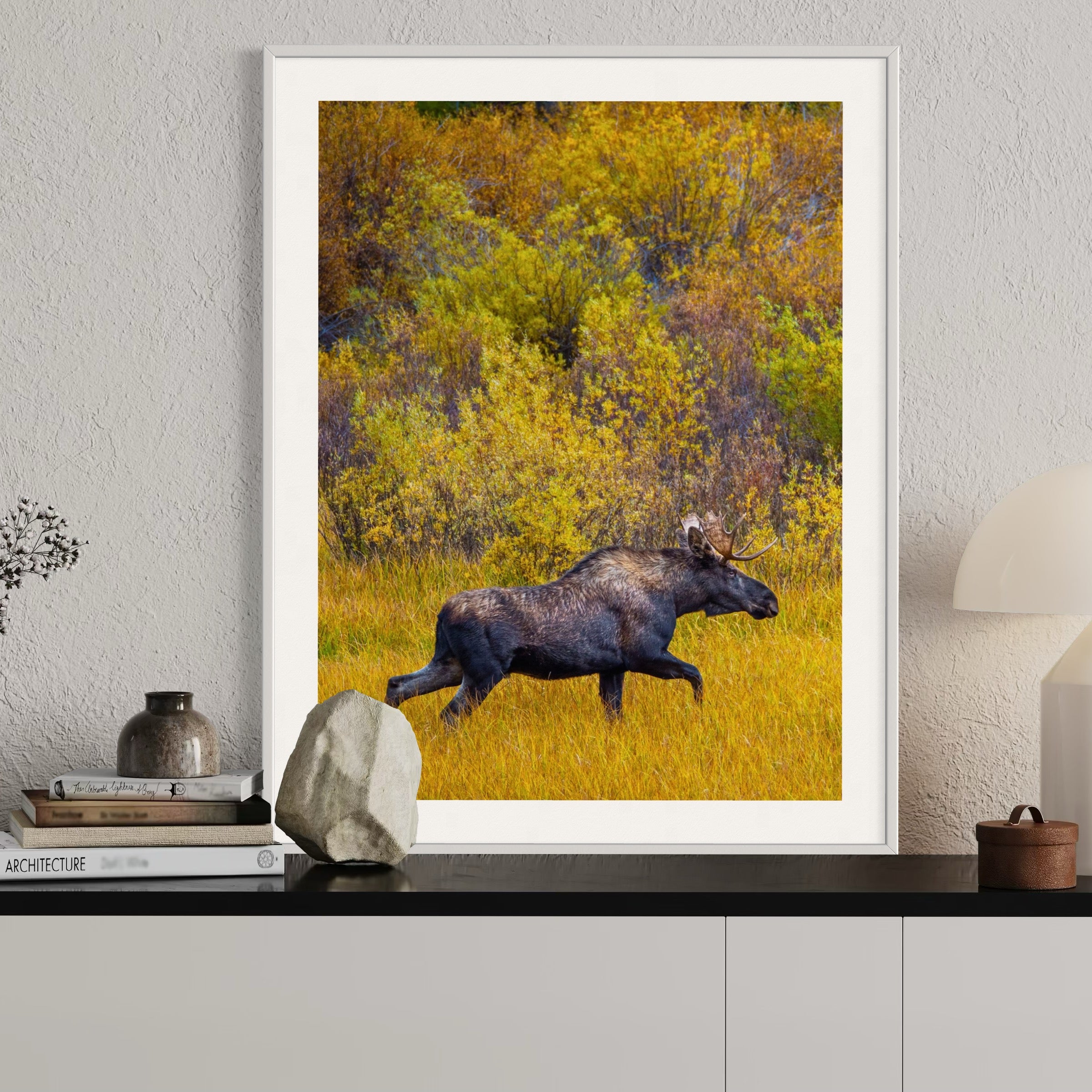 Majestic Moose in Fall - Moderno Wall Art Wall Art