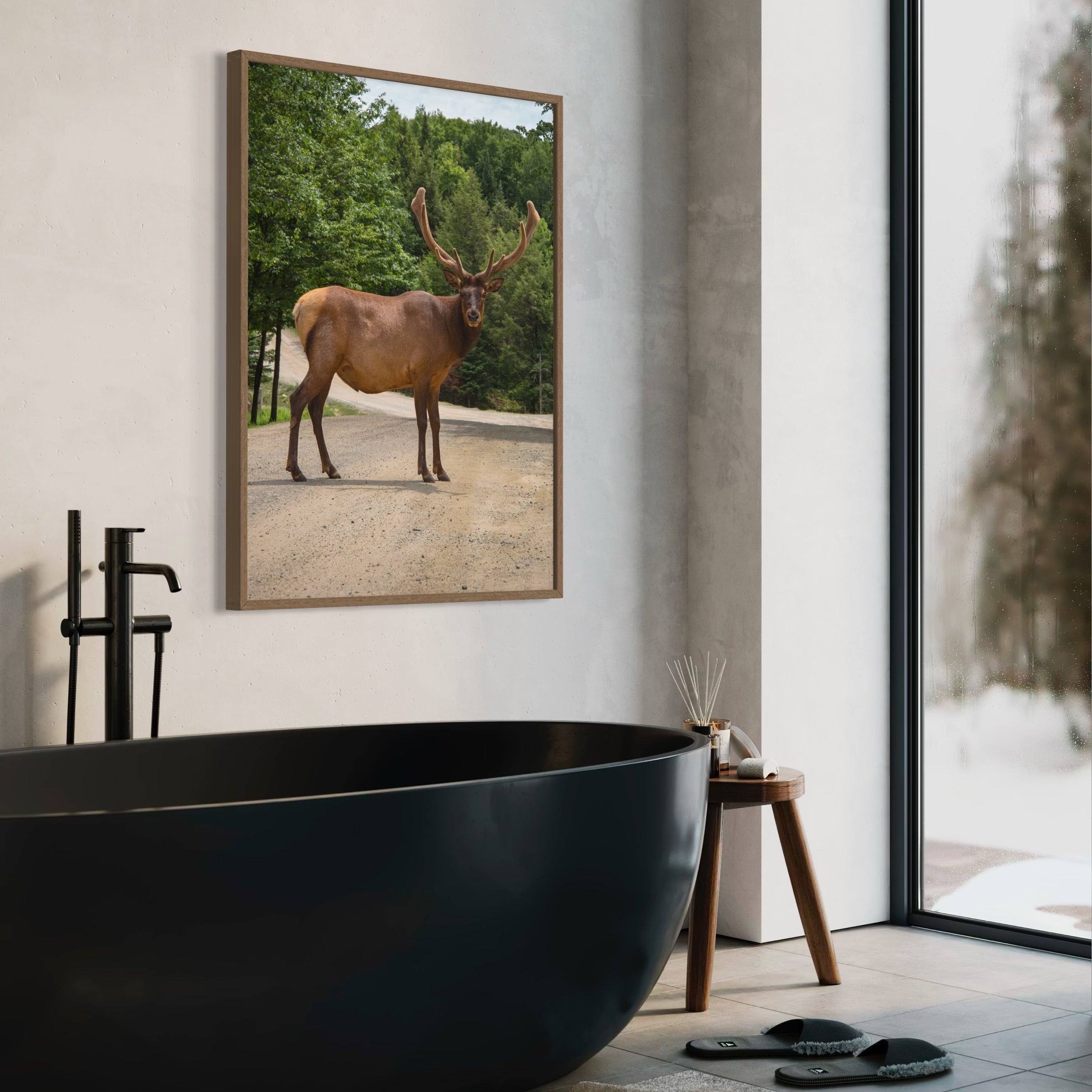 Elk On The Path - Moderno Wall Art Wall Art