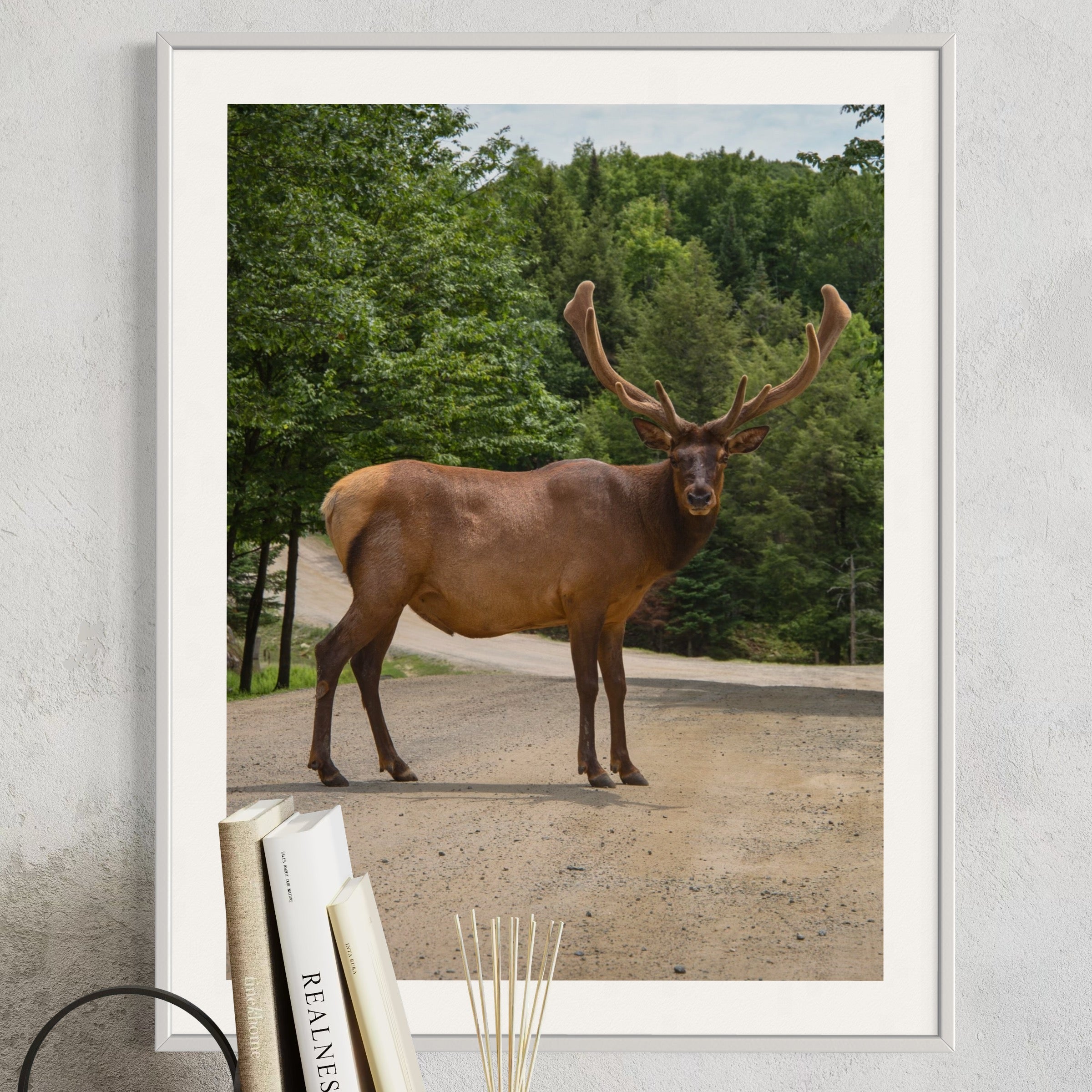 Elk On The Path - Moderno Wall Art Wall Art